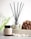 A reed diffuser and a coconut & soy wax candle labeled 'Serenity' are placed on a surface with white pebbles in front of them. A textured brown loofah is set to the side, with a blurred, soft green background featuring hints of foliage.