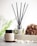 A reed diffuser and a coconut & soy wax candle labeled 'Serenity' are placed on a surface with white pebbles in front of them. A textured brown loofah is set to the side, with a blurred, soft green background featuring hints of foliage.