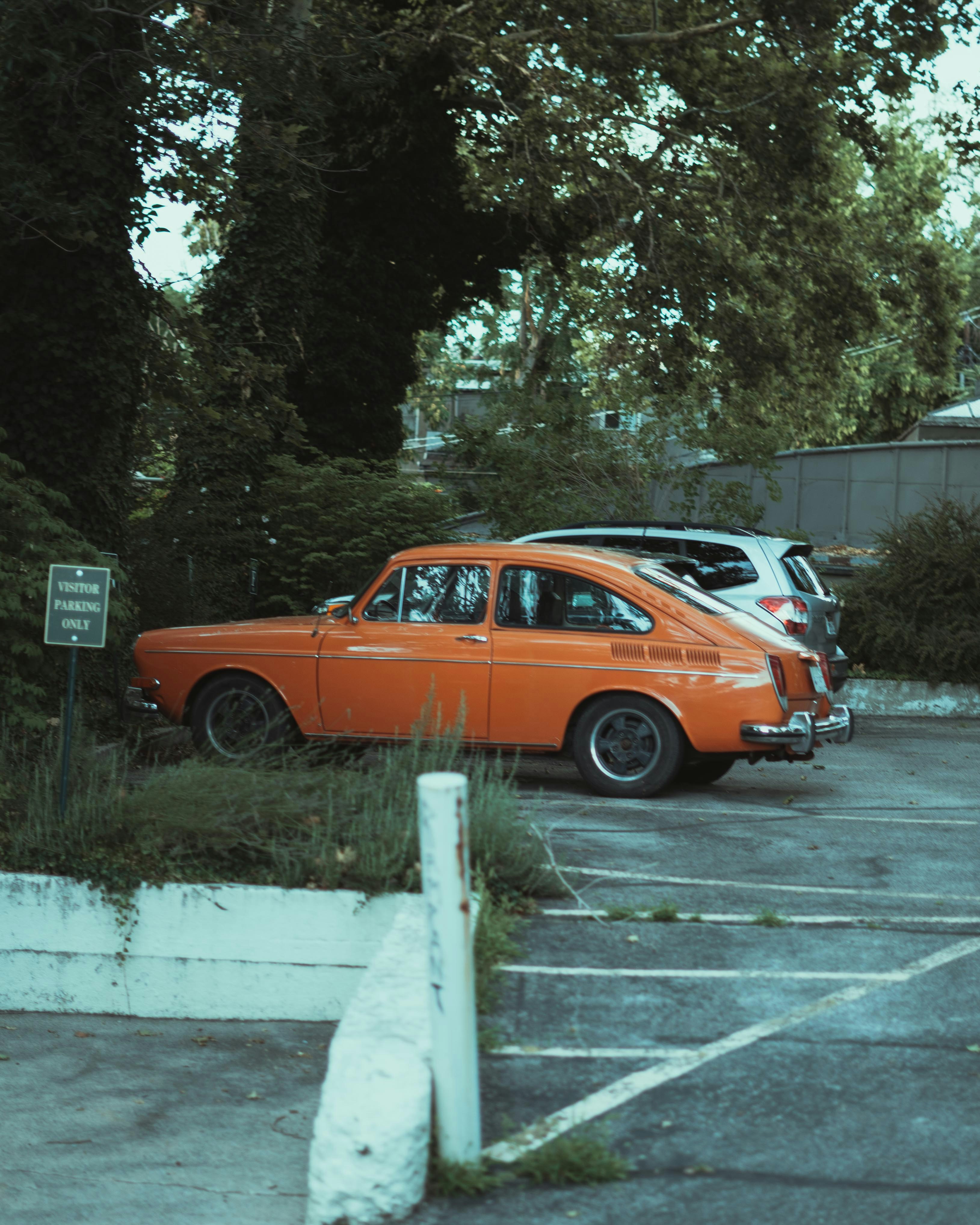 Photo by sharadmbhat