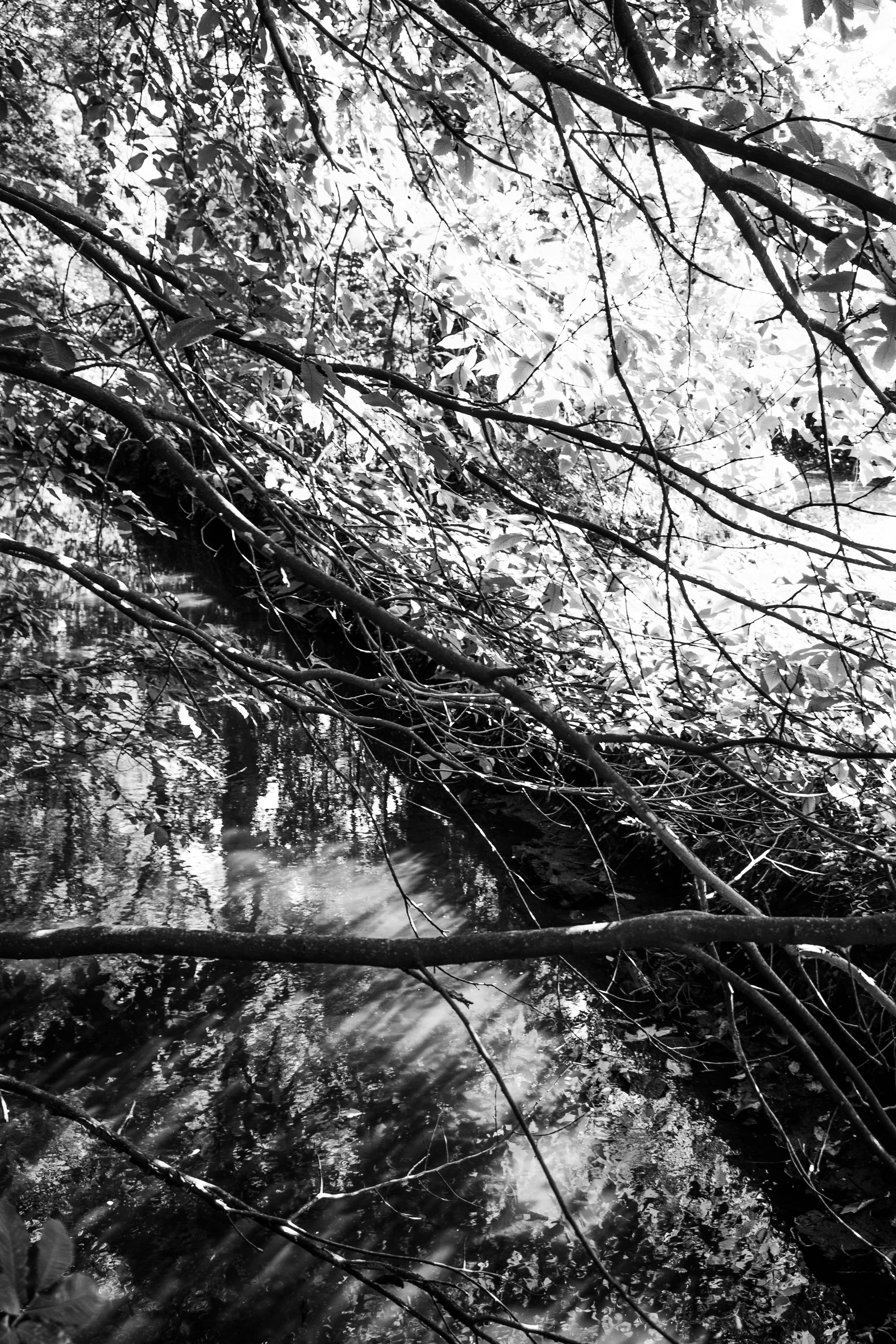 Photo by kamillaisalieva