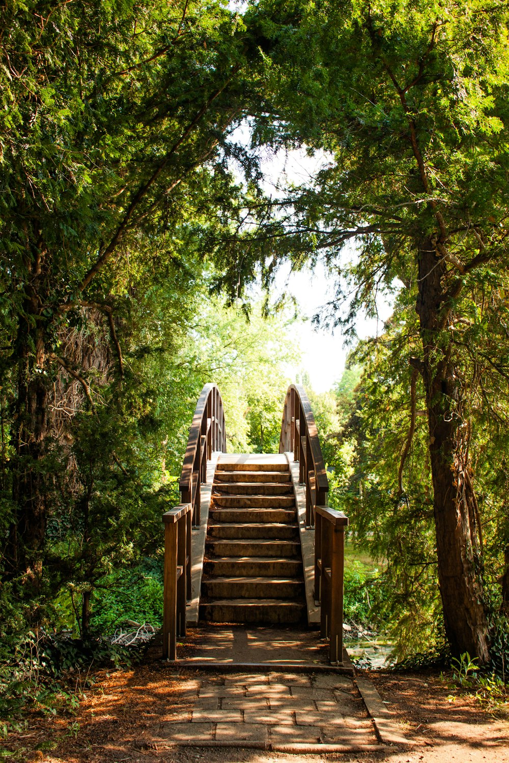 a wooden staircase in a forest