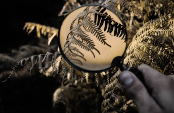 a hand holding a ball