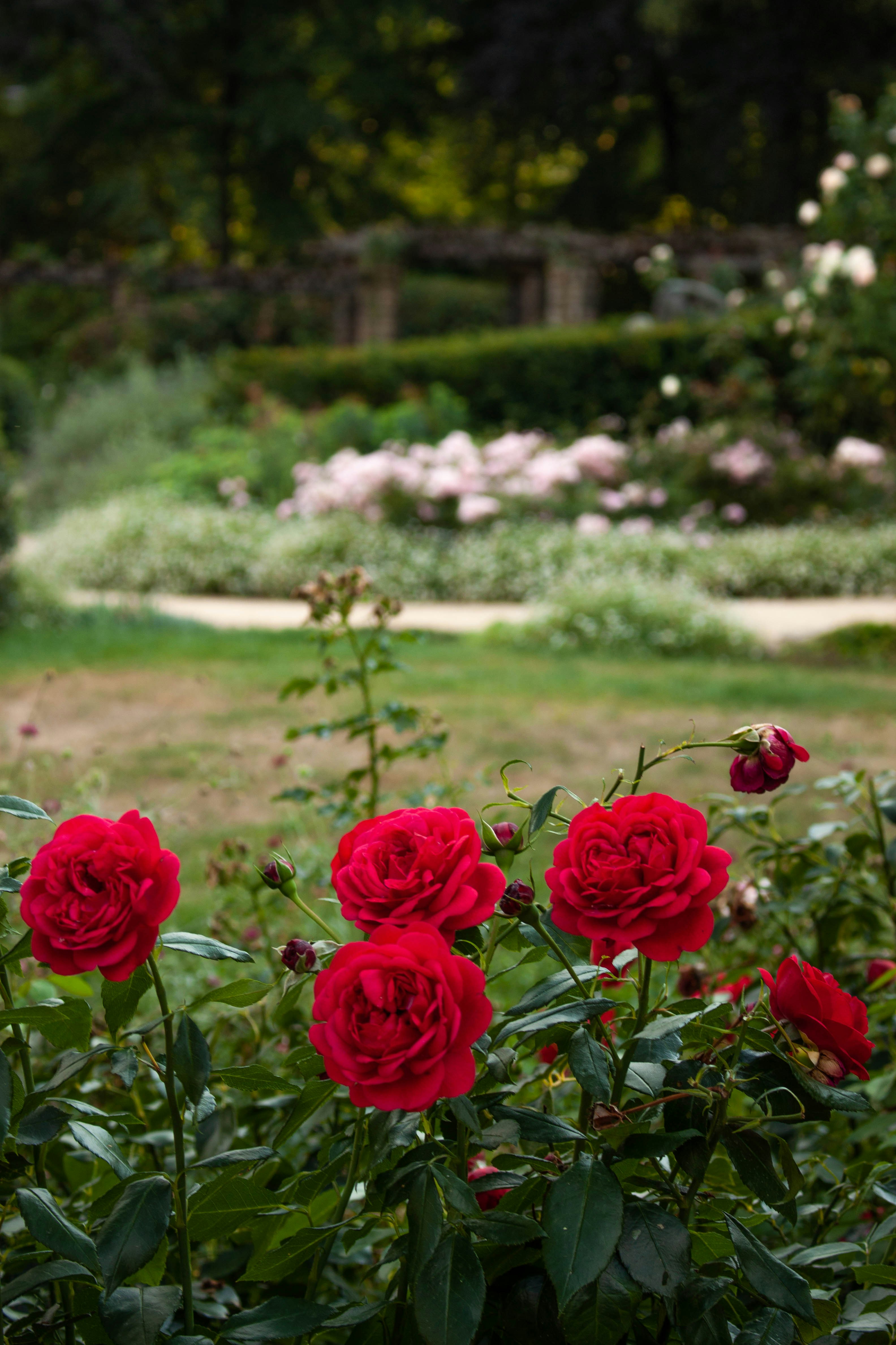 Photo by kamillaisalieva