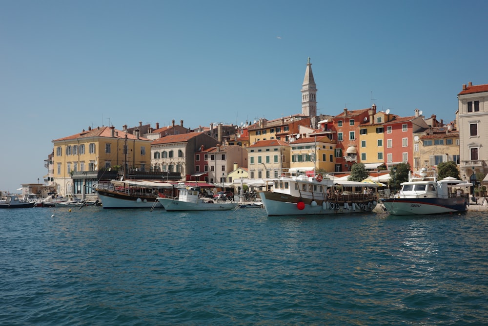 boats in the water