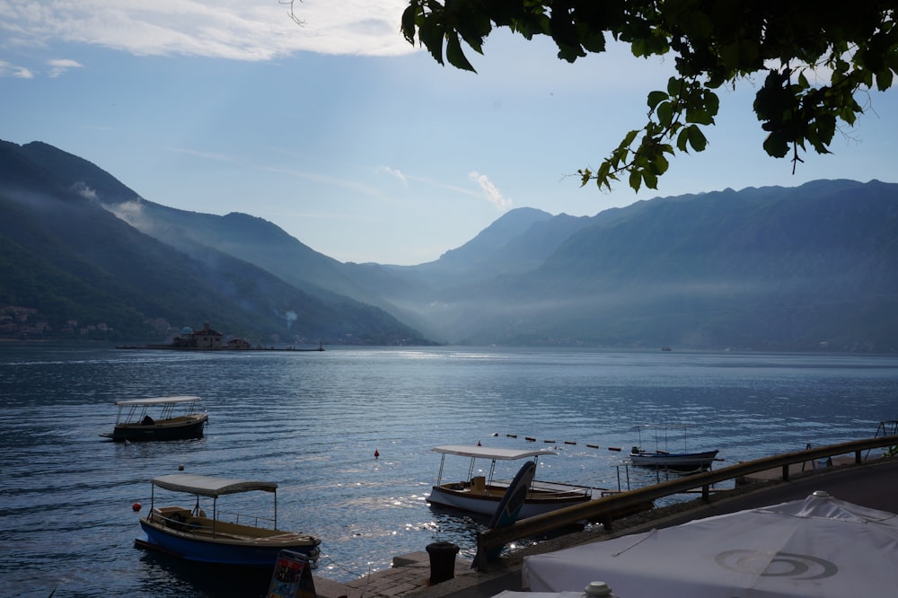 boats in the water