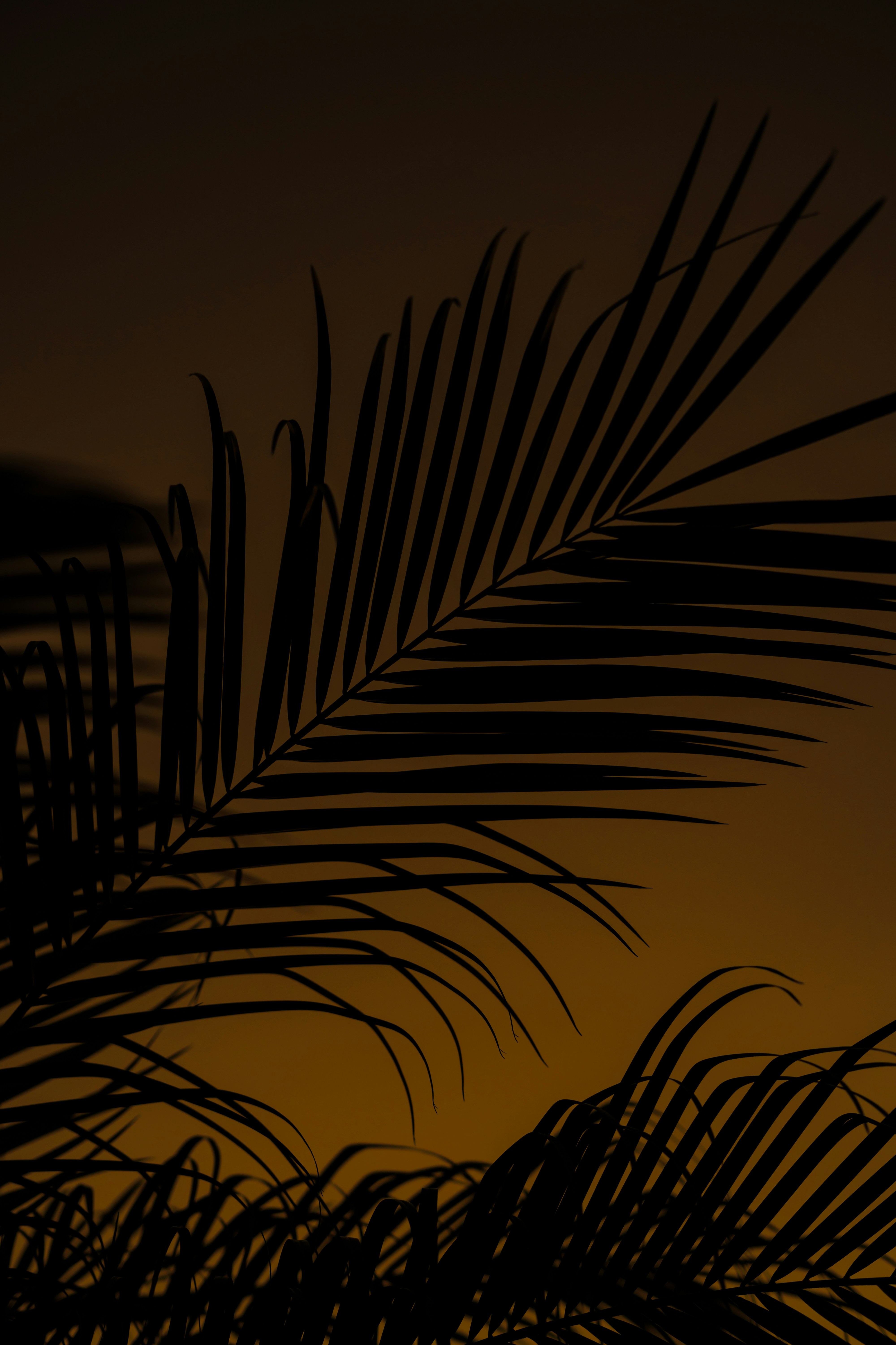 Photo by pedromexicano