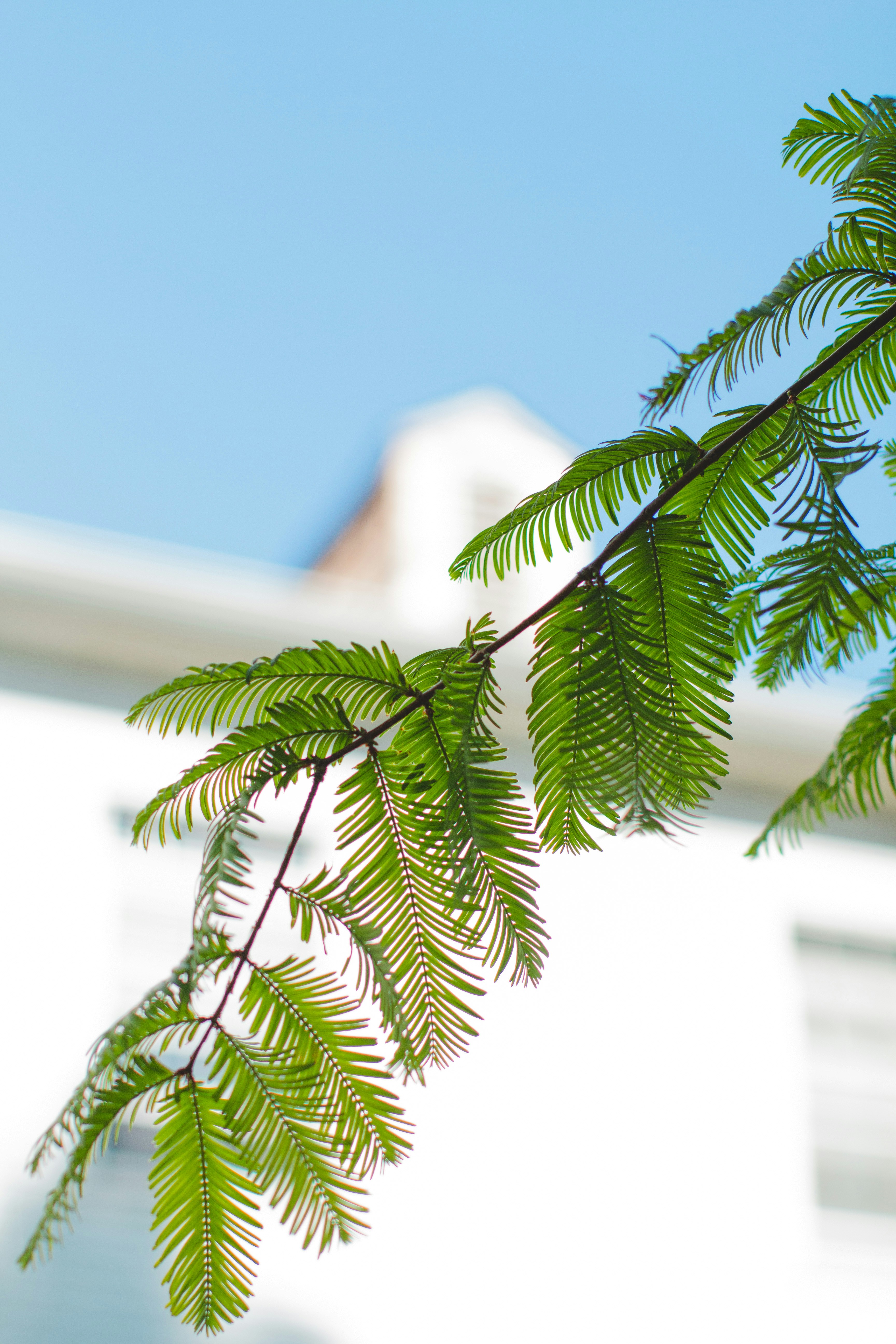 Photo by emmanuelphaeton