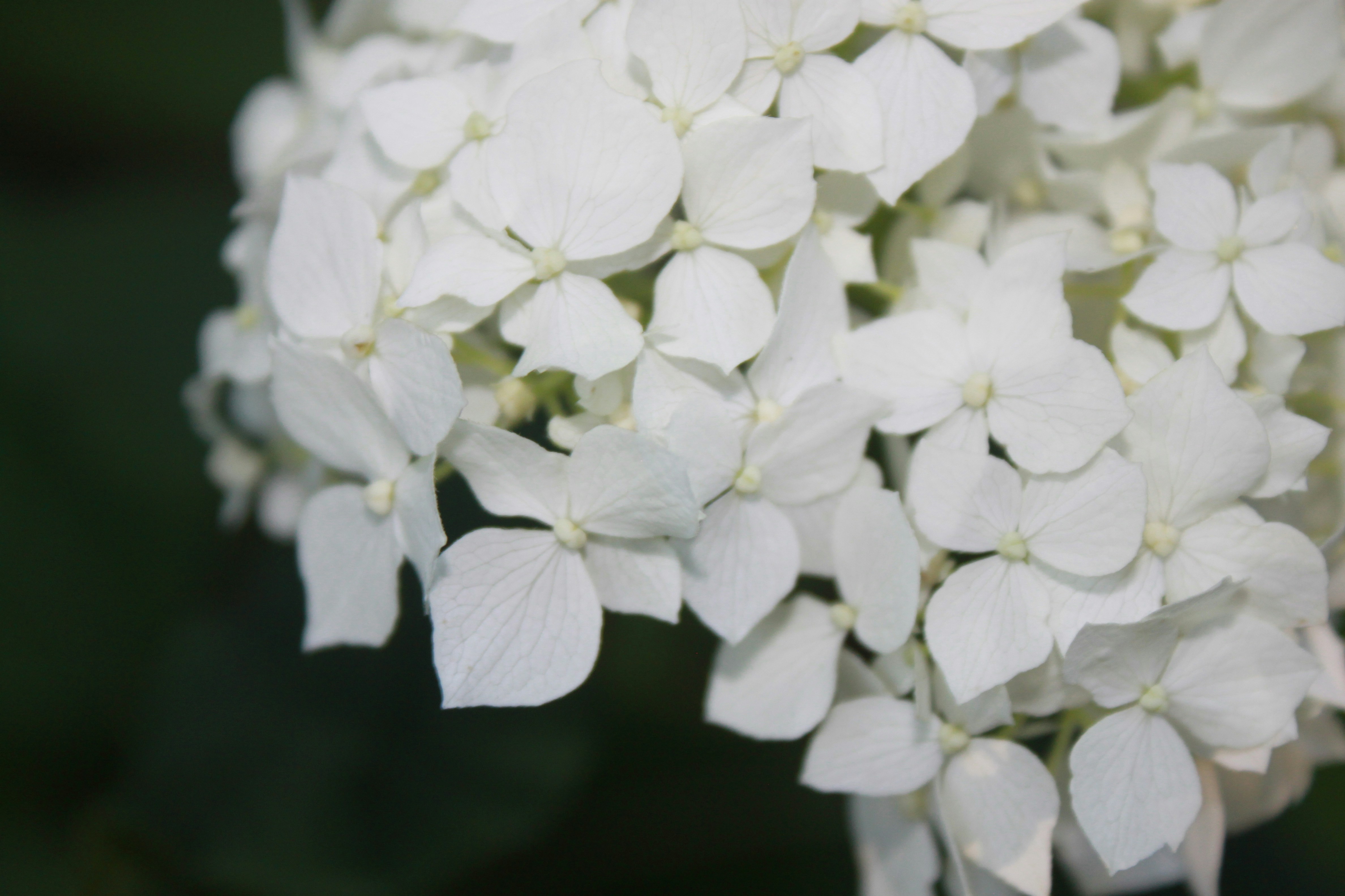 Photo by mackenzie_anne