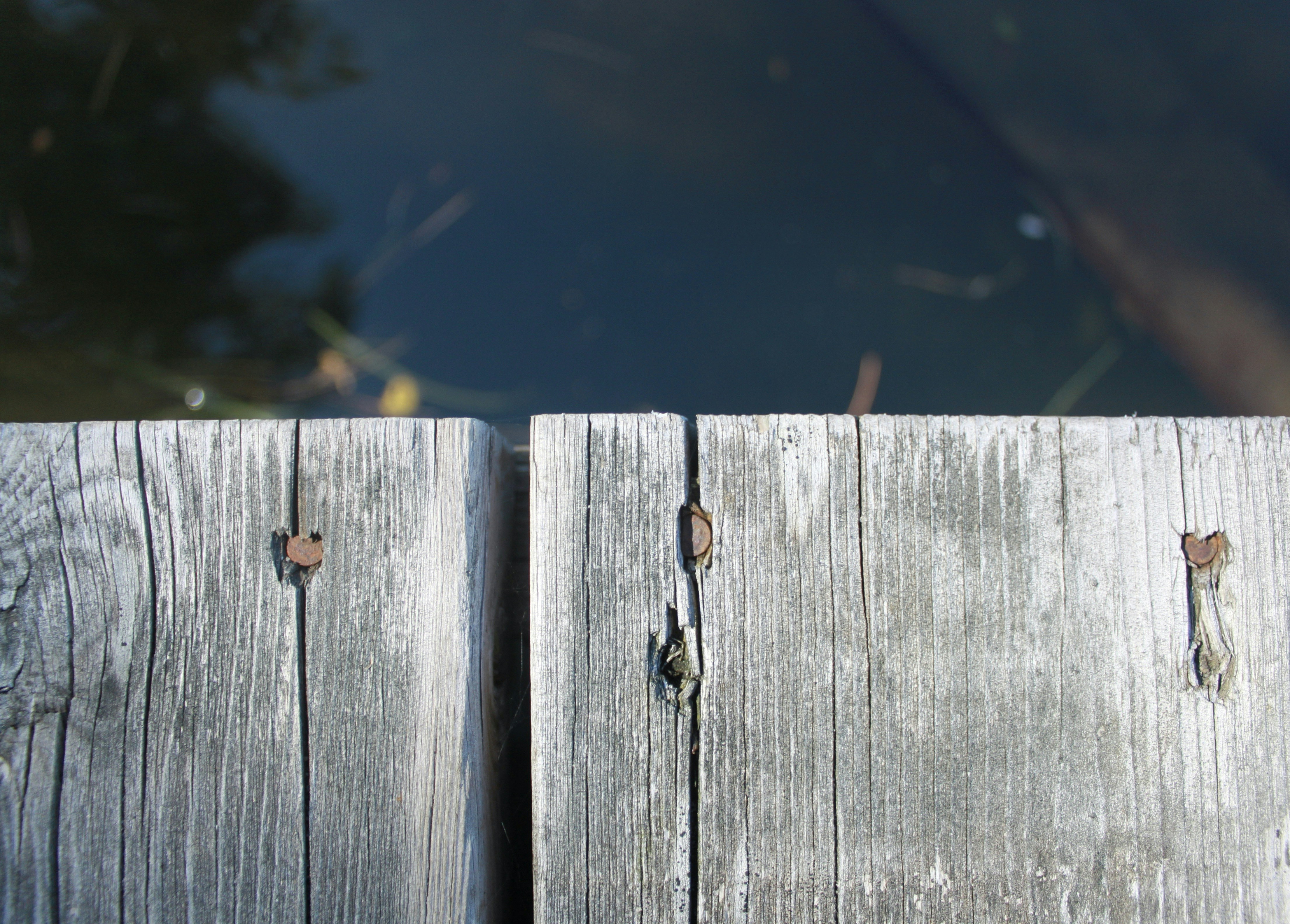 Photo by mackenzie_anne