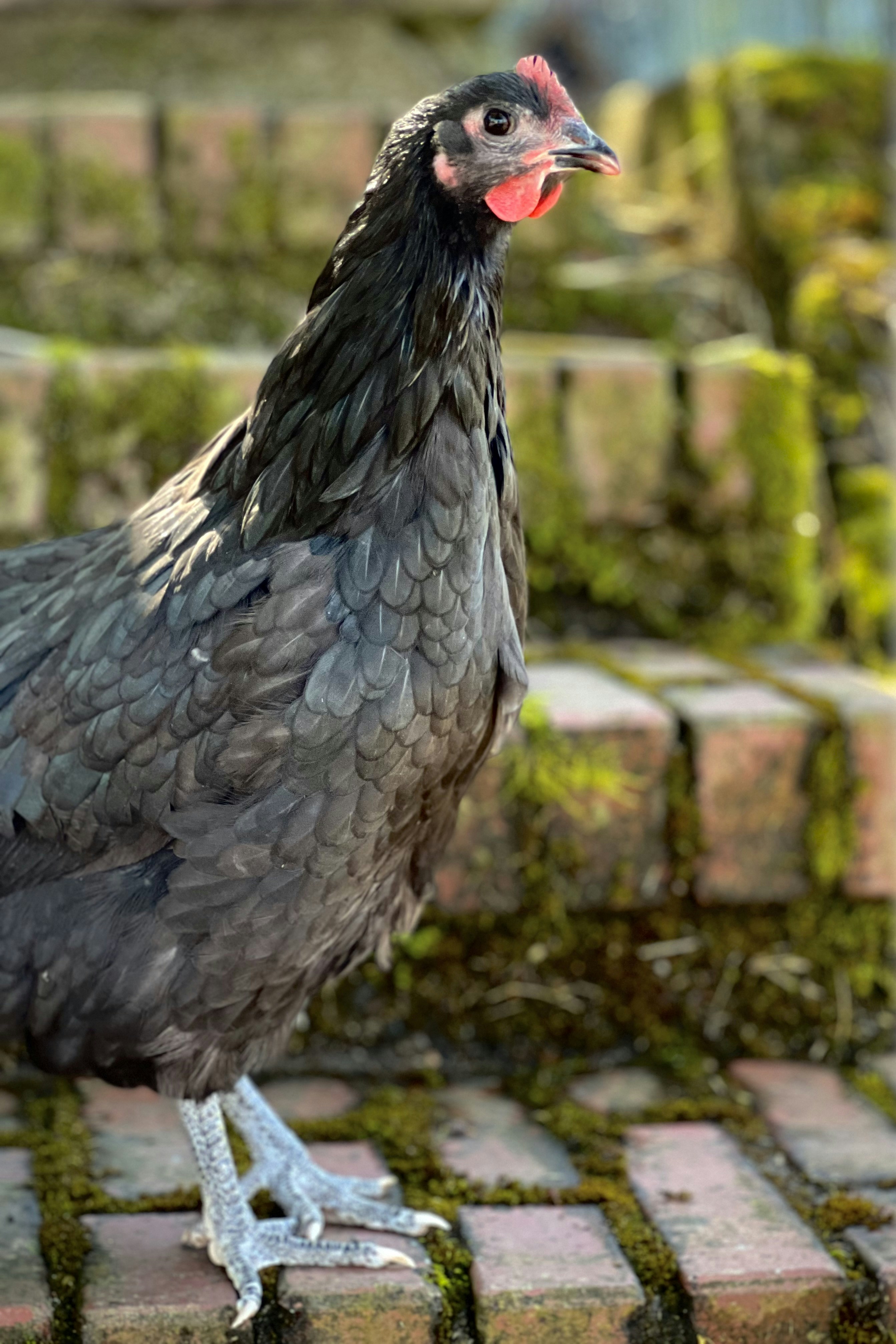 Photo by christinacorwin