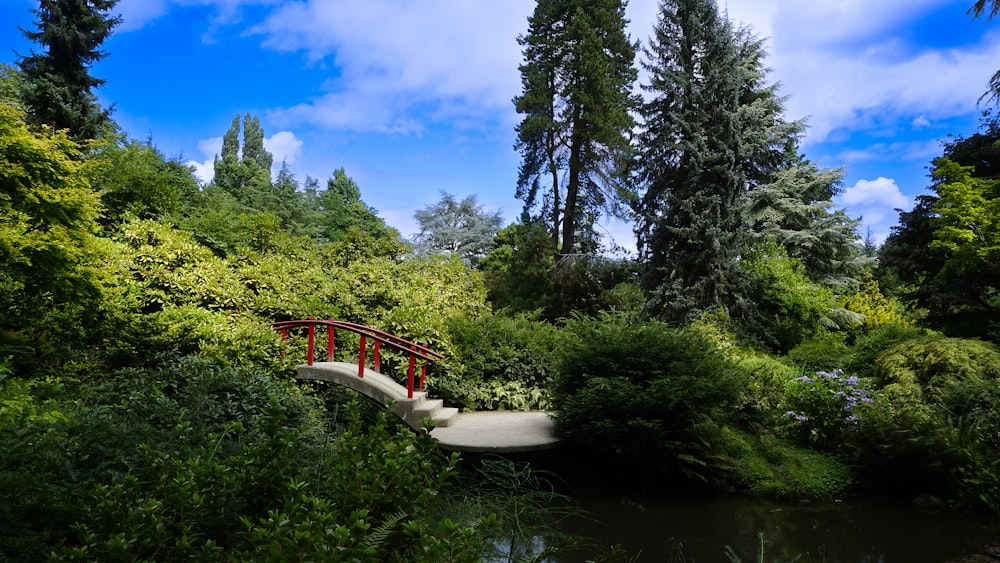 a bridge over a river