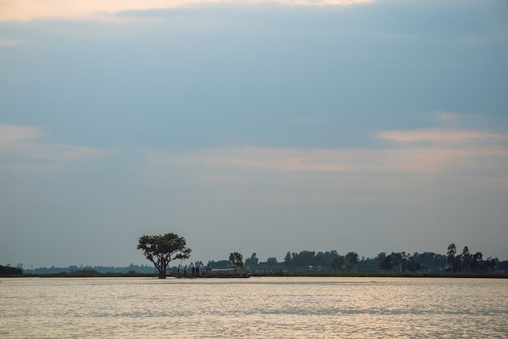 a body of water with trees in the background