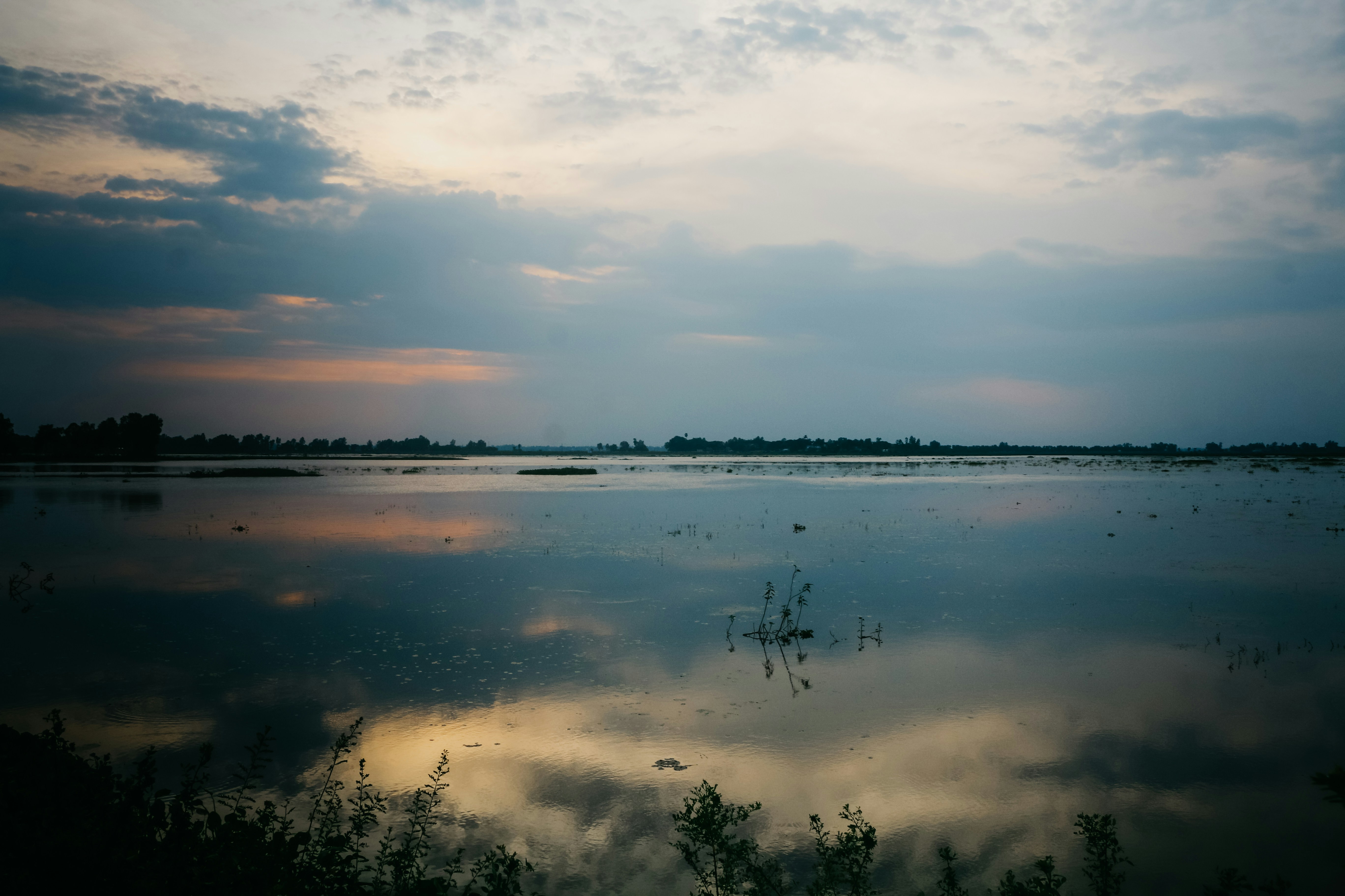 Photo by neha1301039