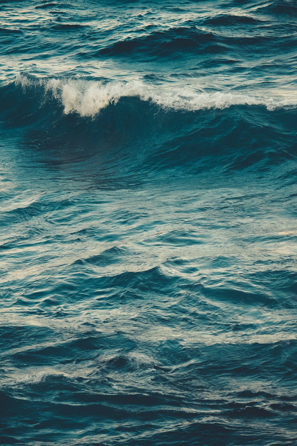 waves in the ocean