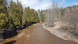 A river flows through a forested area with both evergreen and deciduous trees. The water in the river appears brown and is bordered by rocky, barren land on one side. Green pine trees line the opposite bank while some leafless trees can be seen among them, suggesting a transition in seasons.