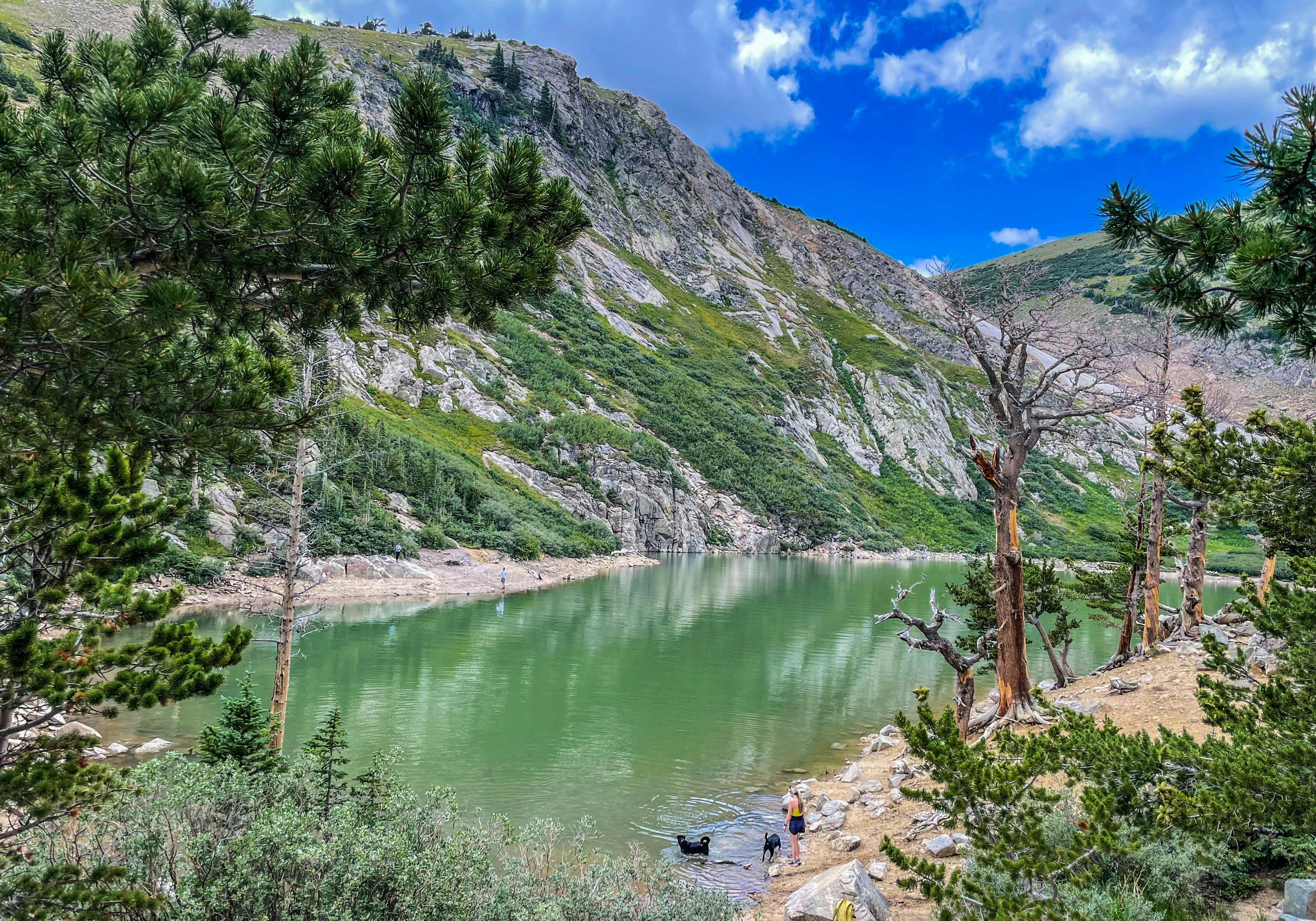 Photo by gray_matter