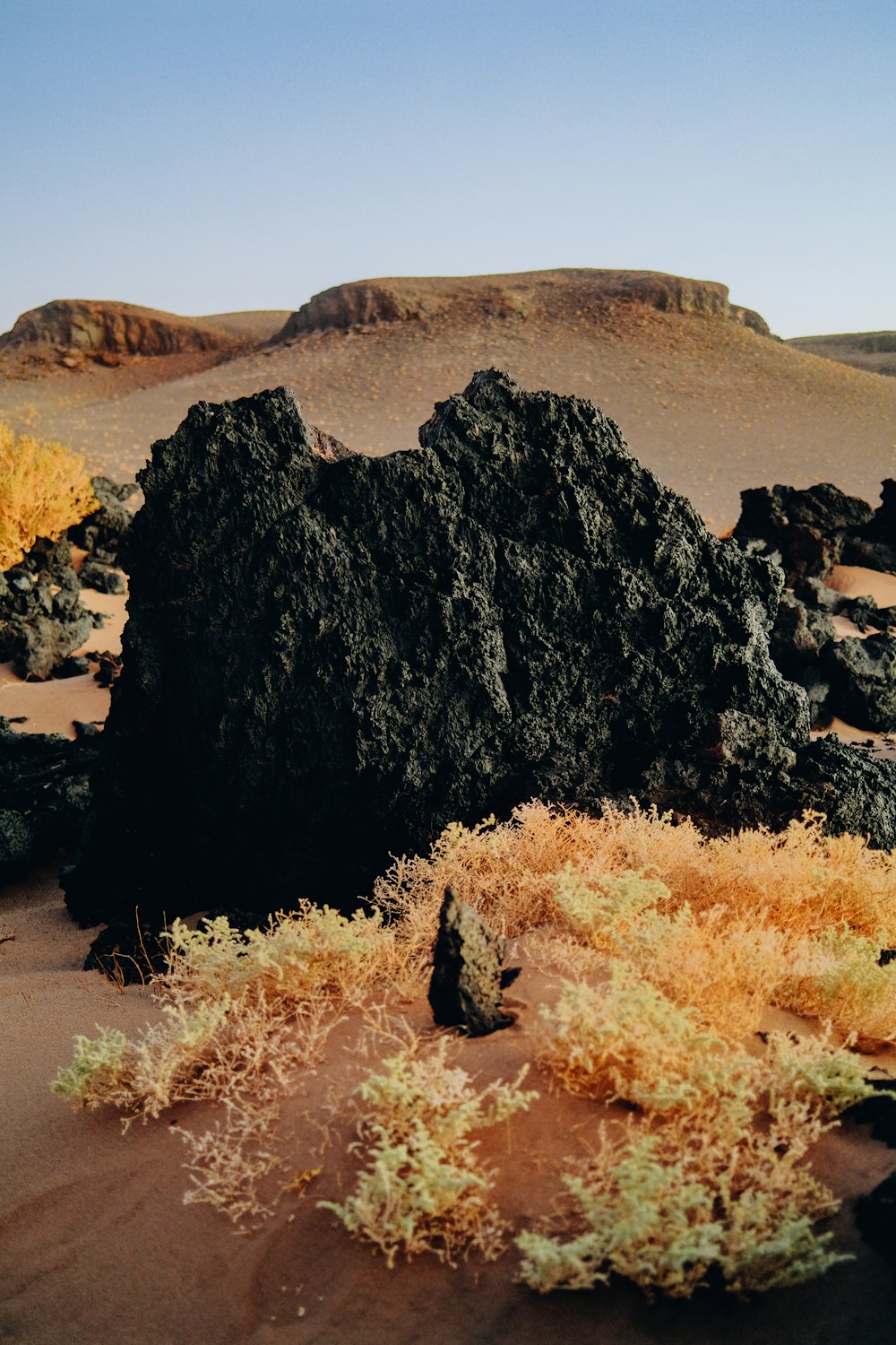 a rocky area with plants and a blue sky