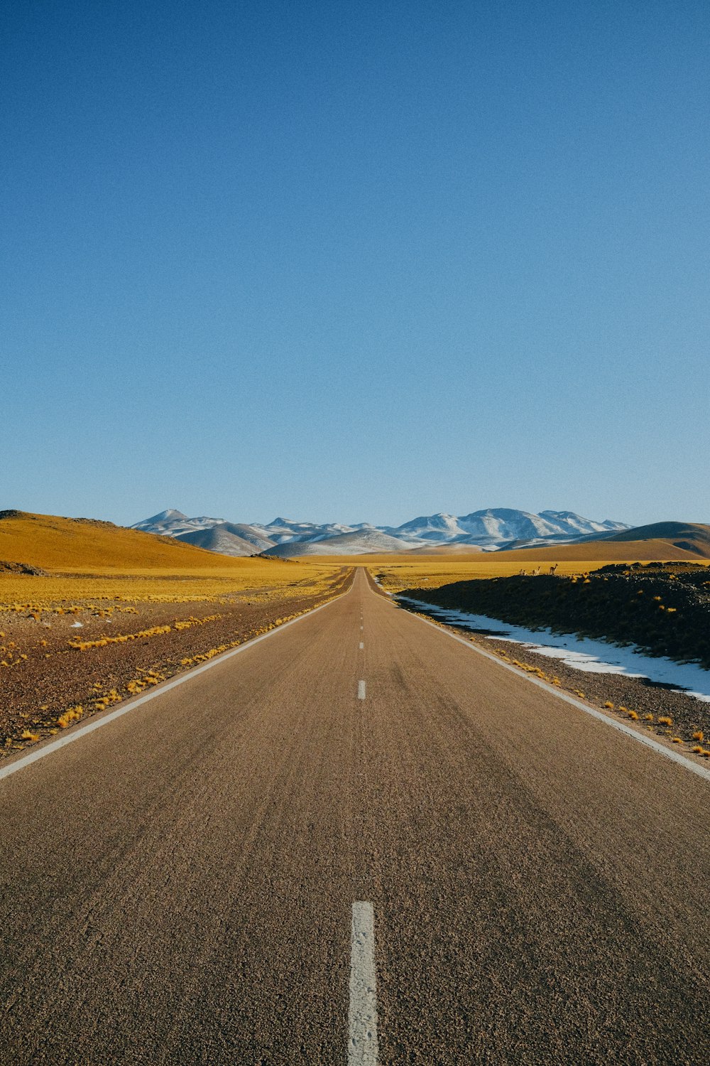 a road with mountains in the background