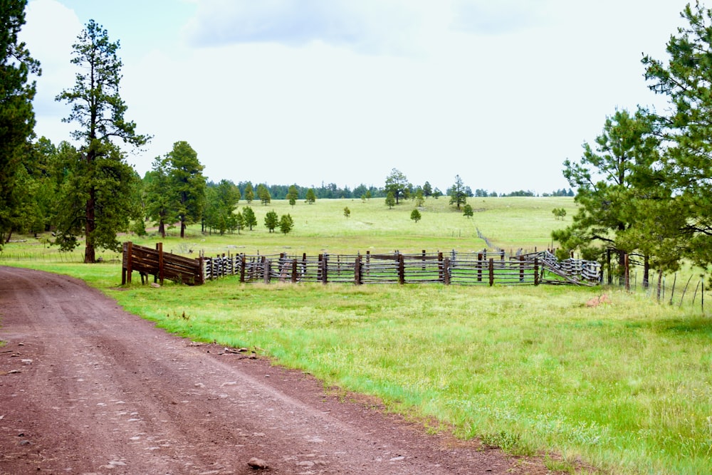 a dirt road leading to a fenced in field with trees