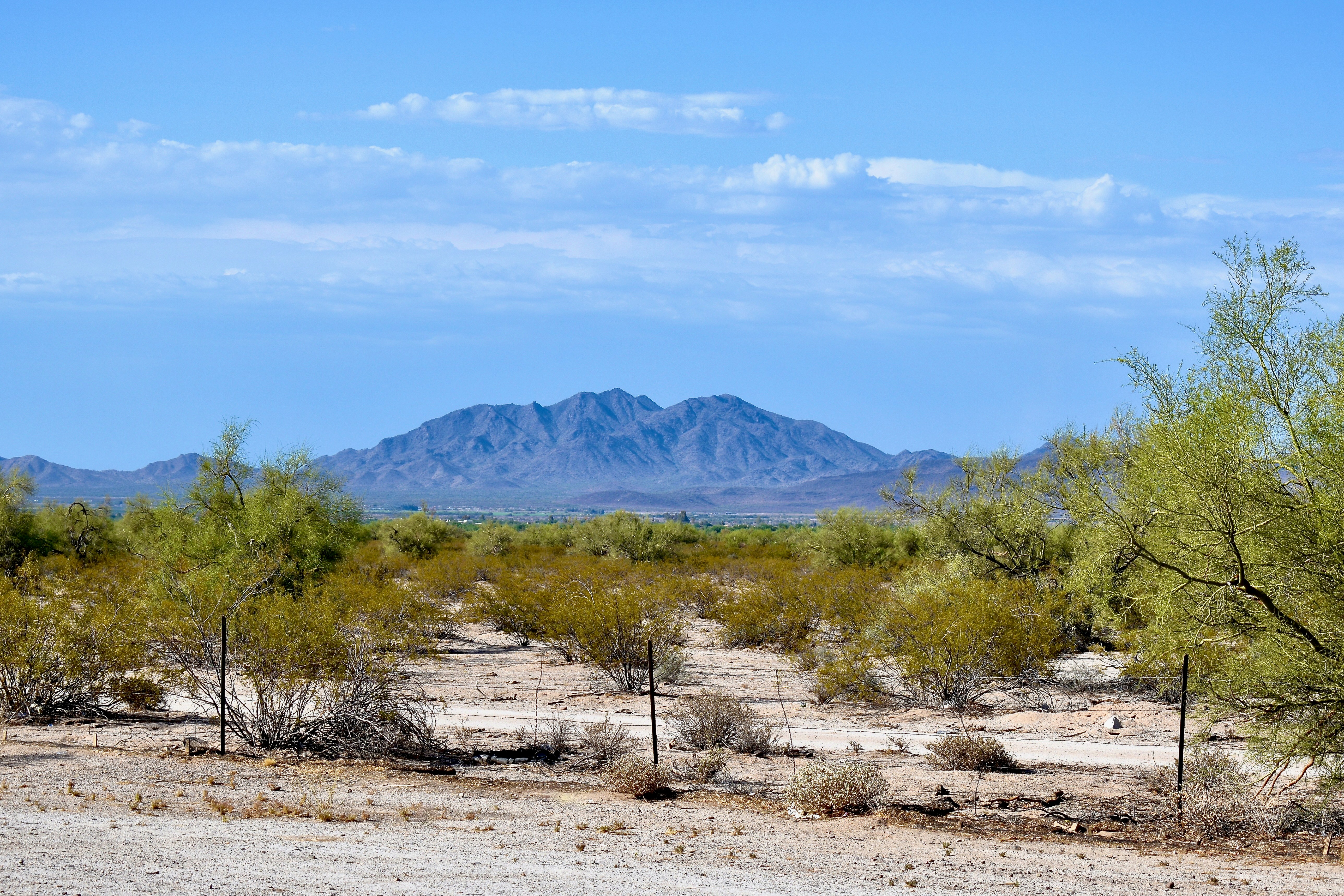 Photo by kellybrookme