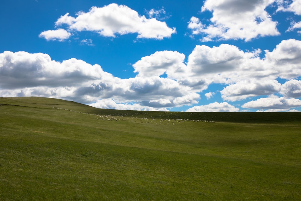 a grassy field with clouds in the sky