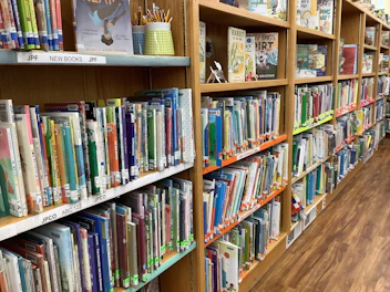A bookshelf filled with vibrant hardcover children's books.