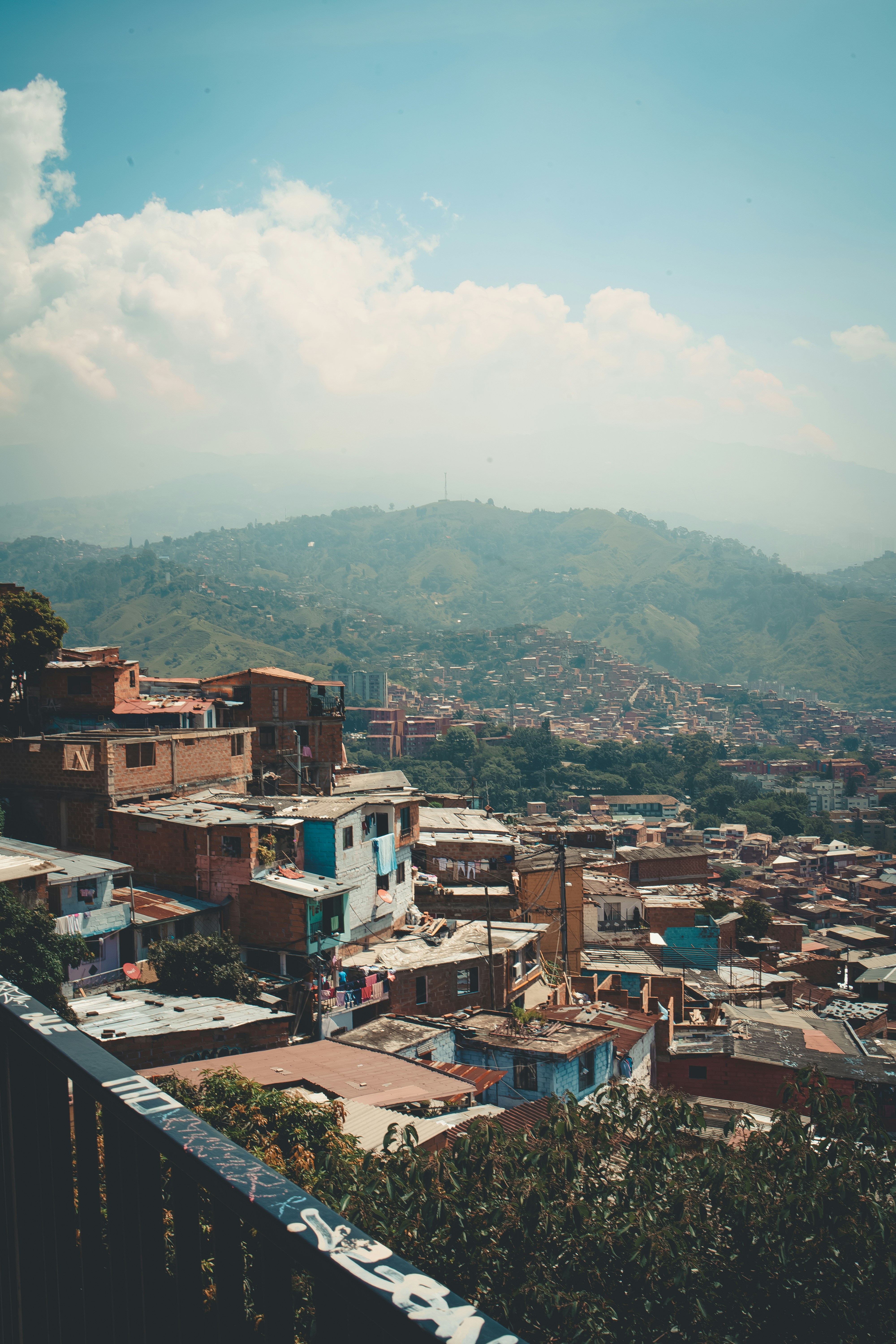 Photo by delfinaiacub