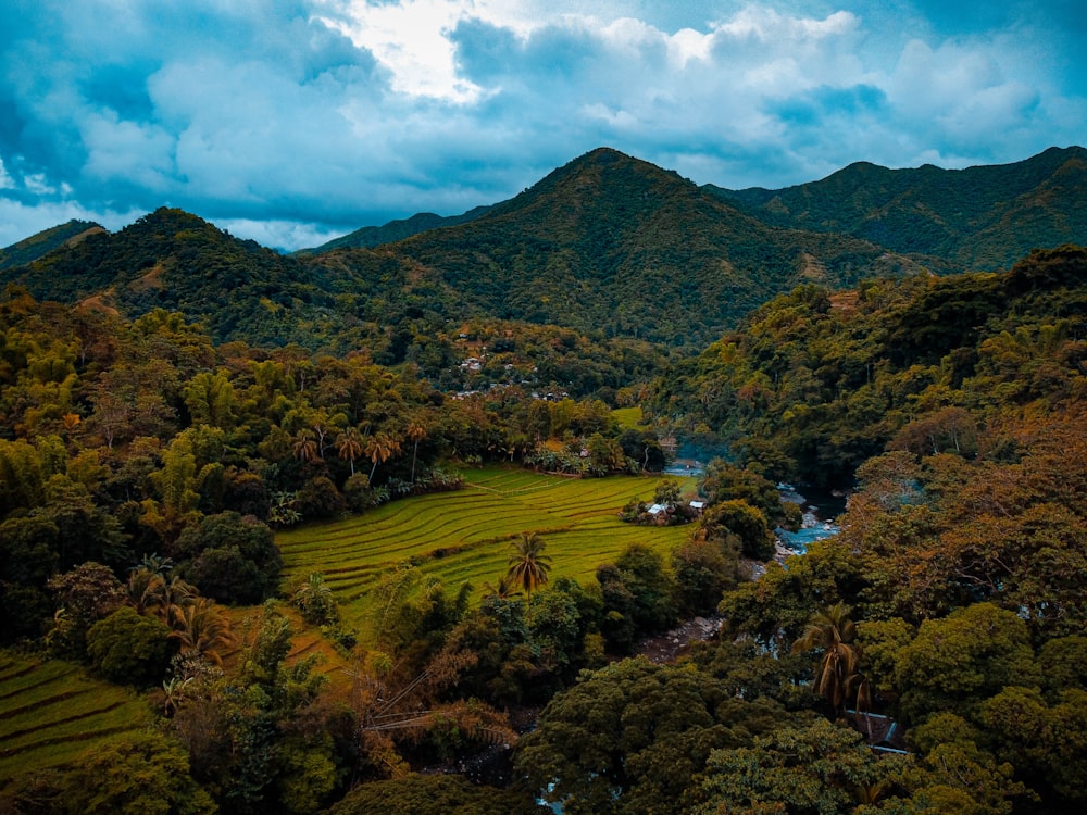 a landscape with trees and hills