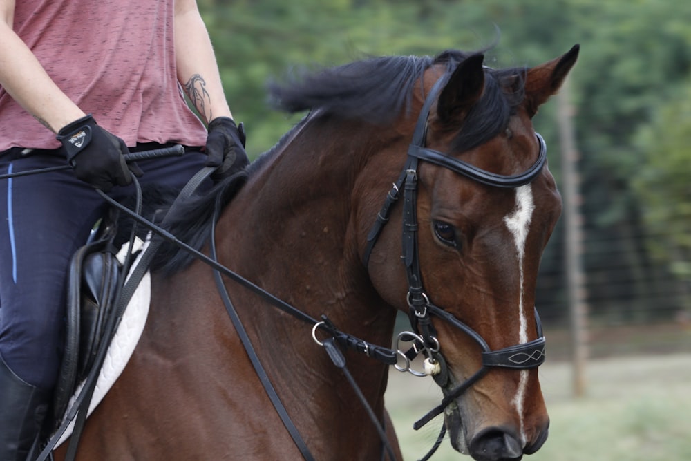 a person riding a horse