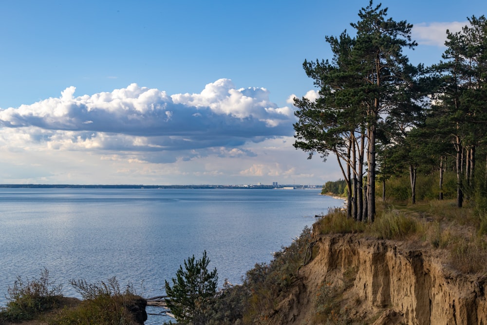 a body of water with trees on the side