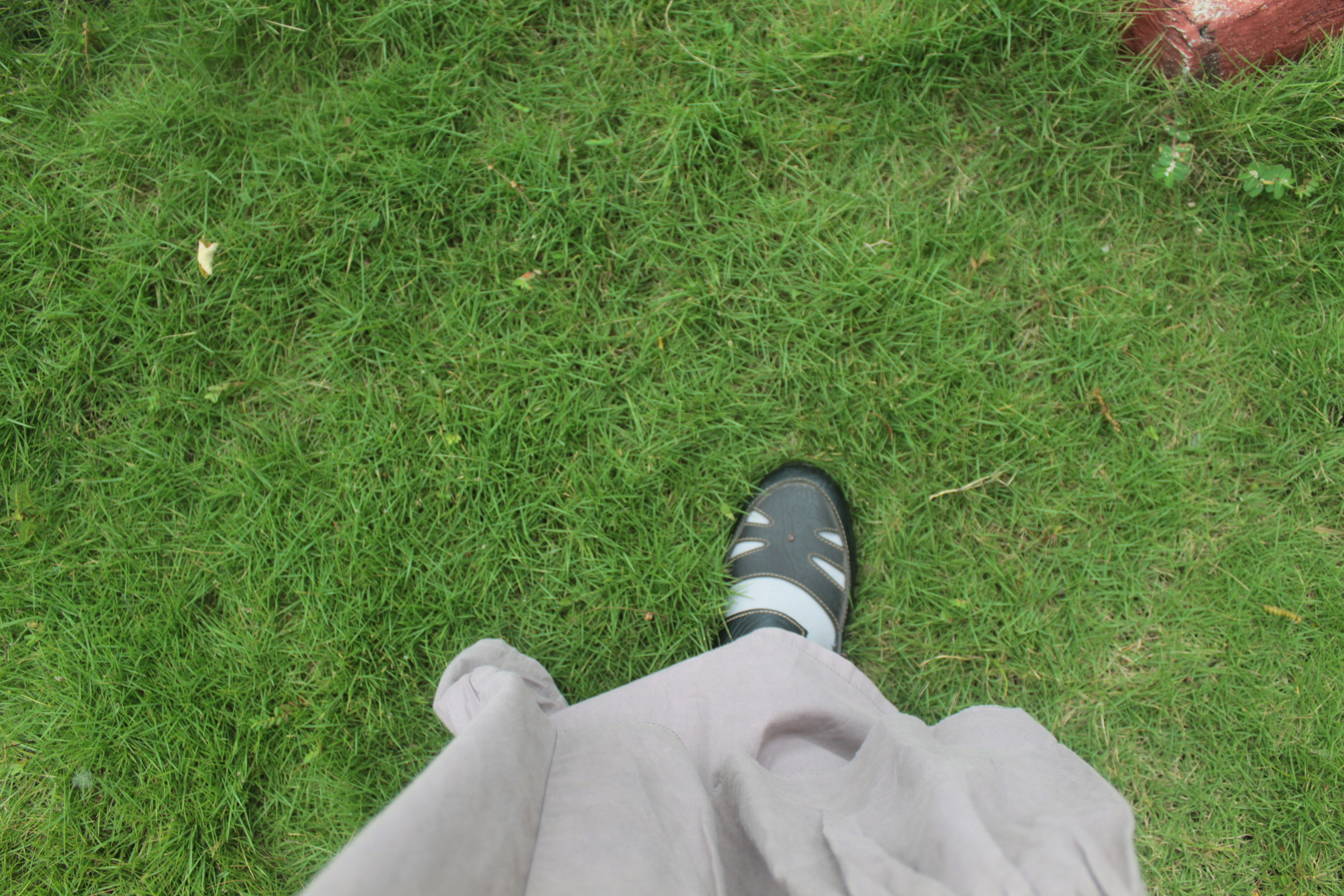 a person's legs in the grass