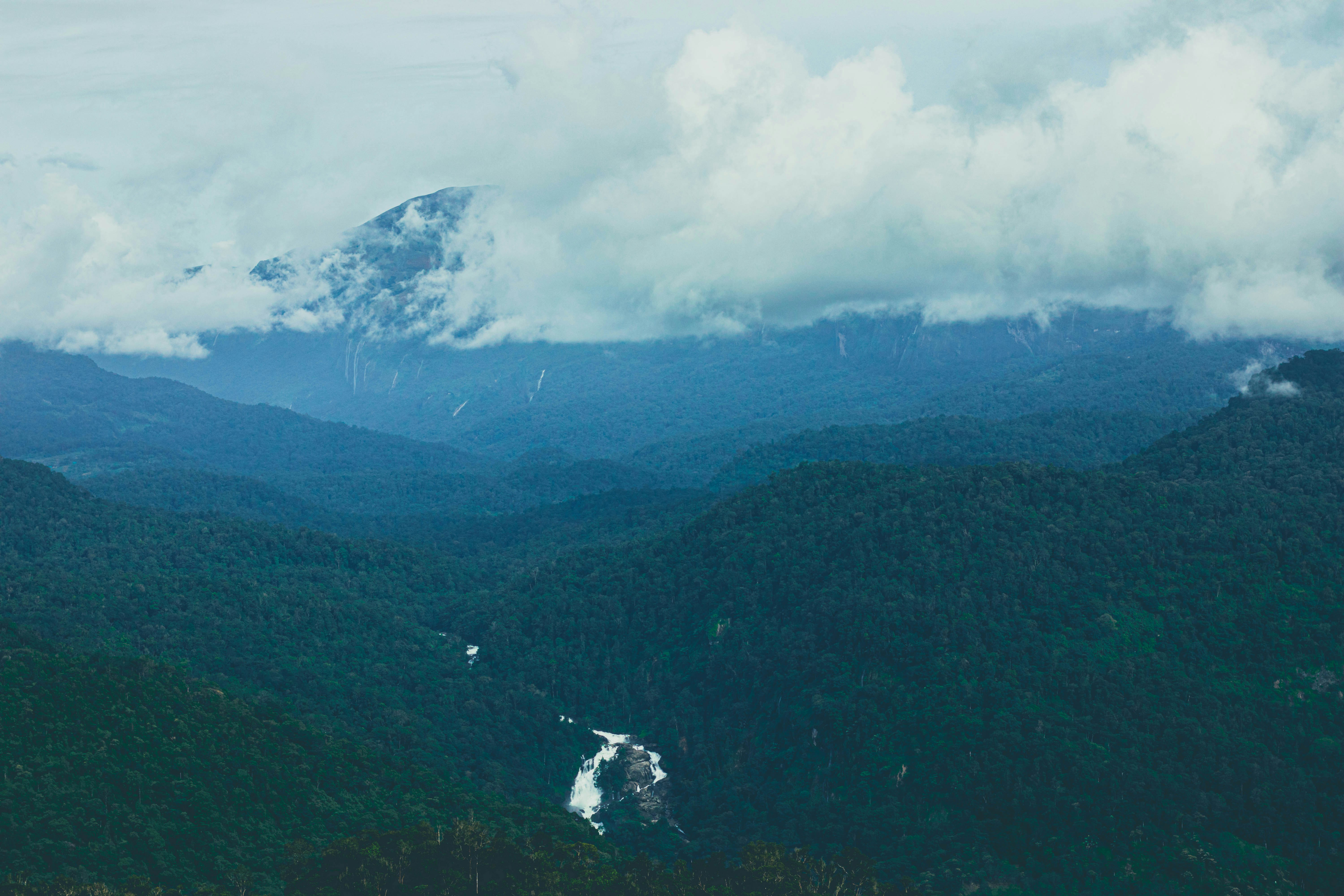 카드 포인트 현금화 방법, 지금 안 하면 손해!