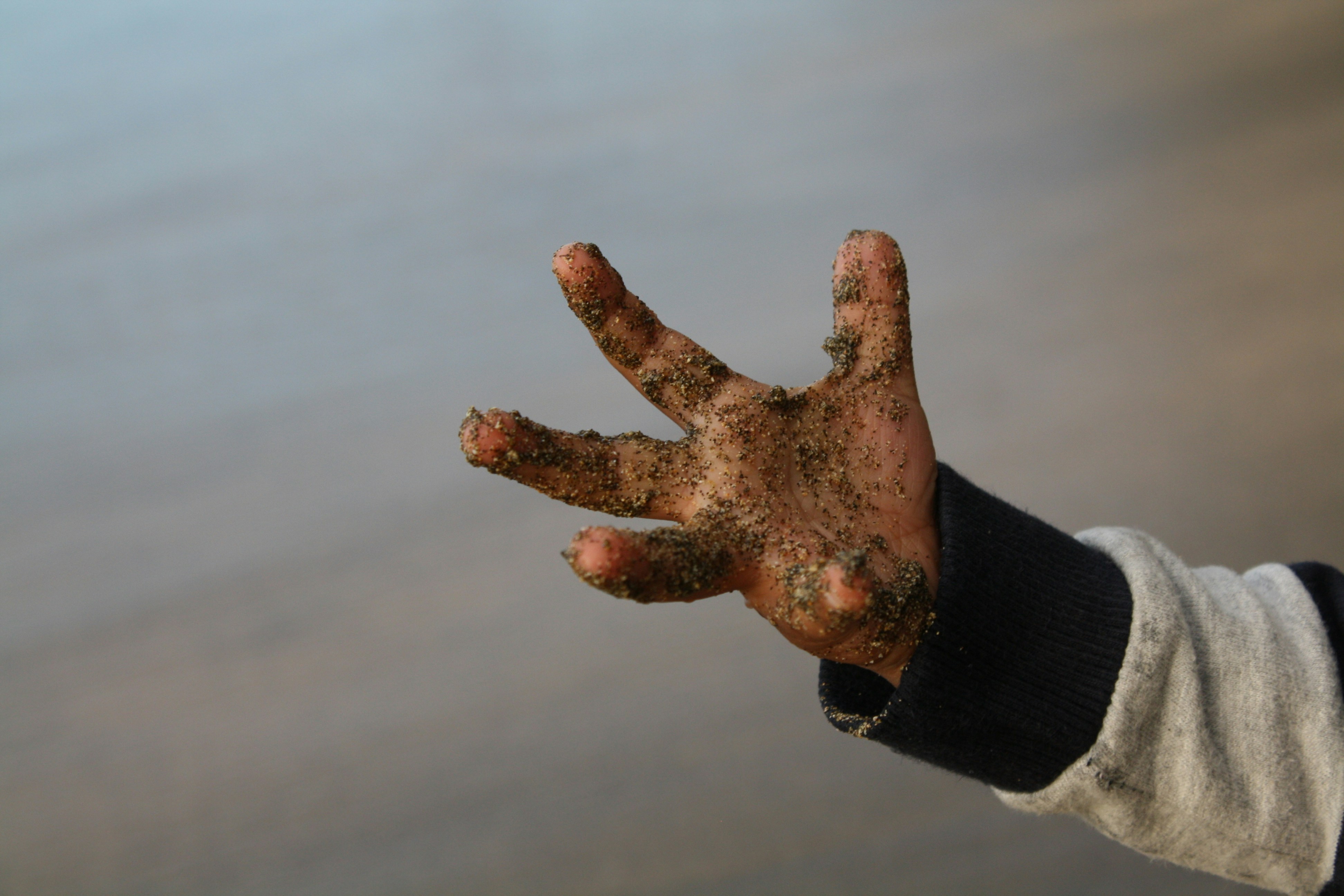 a hand with a large antlers