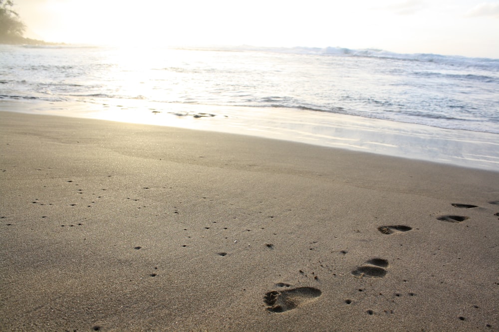 footprints in the sand