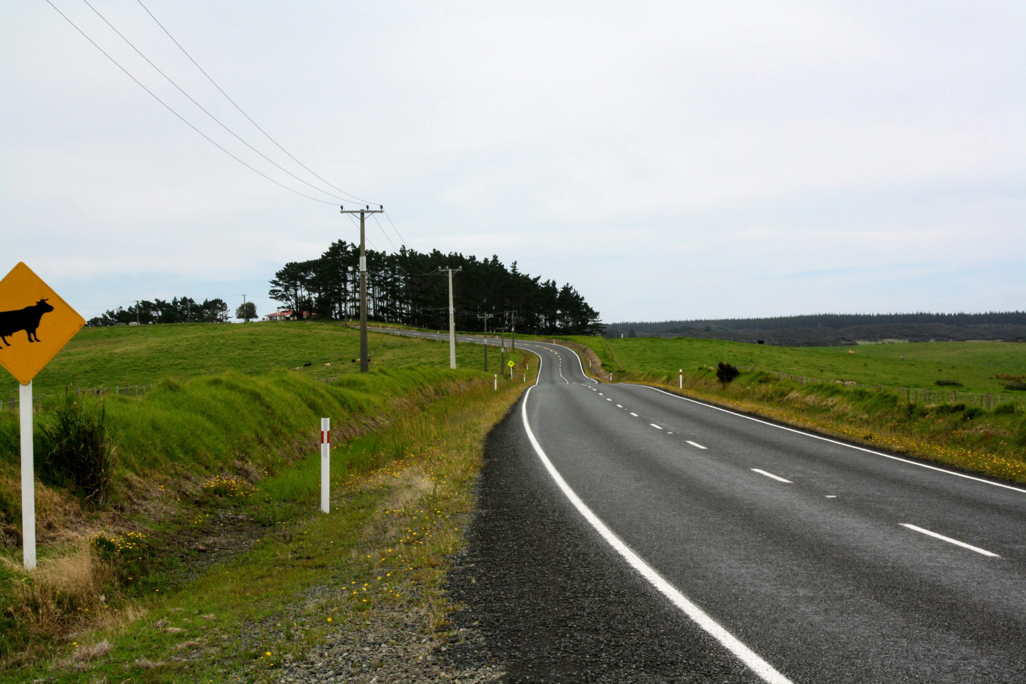 a road with a sign on it