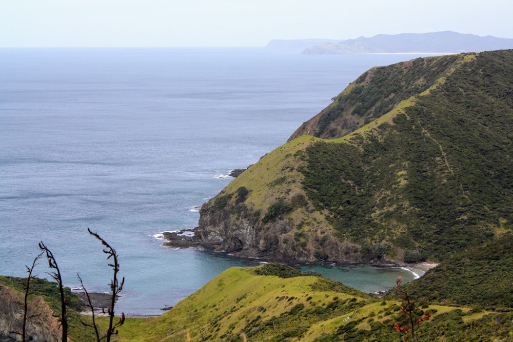 a grassy hill overlooking a body of water