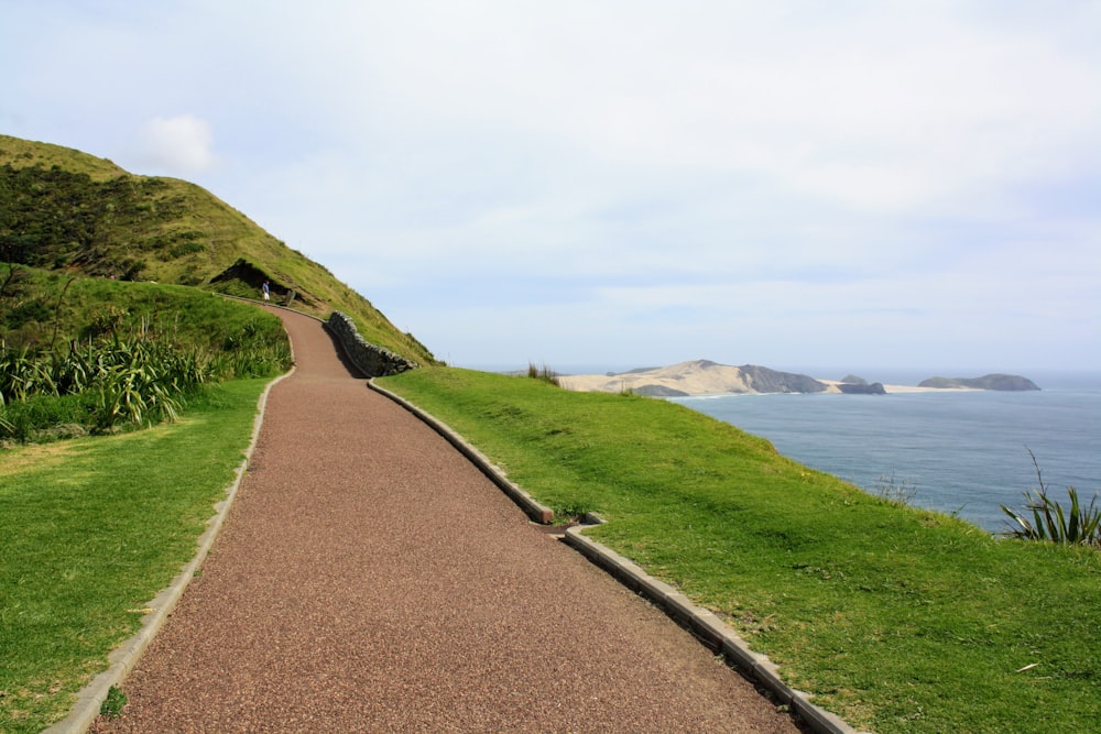 a path leading to a beach