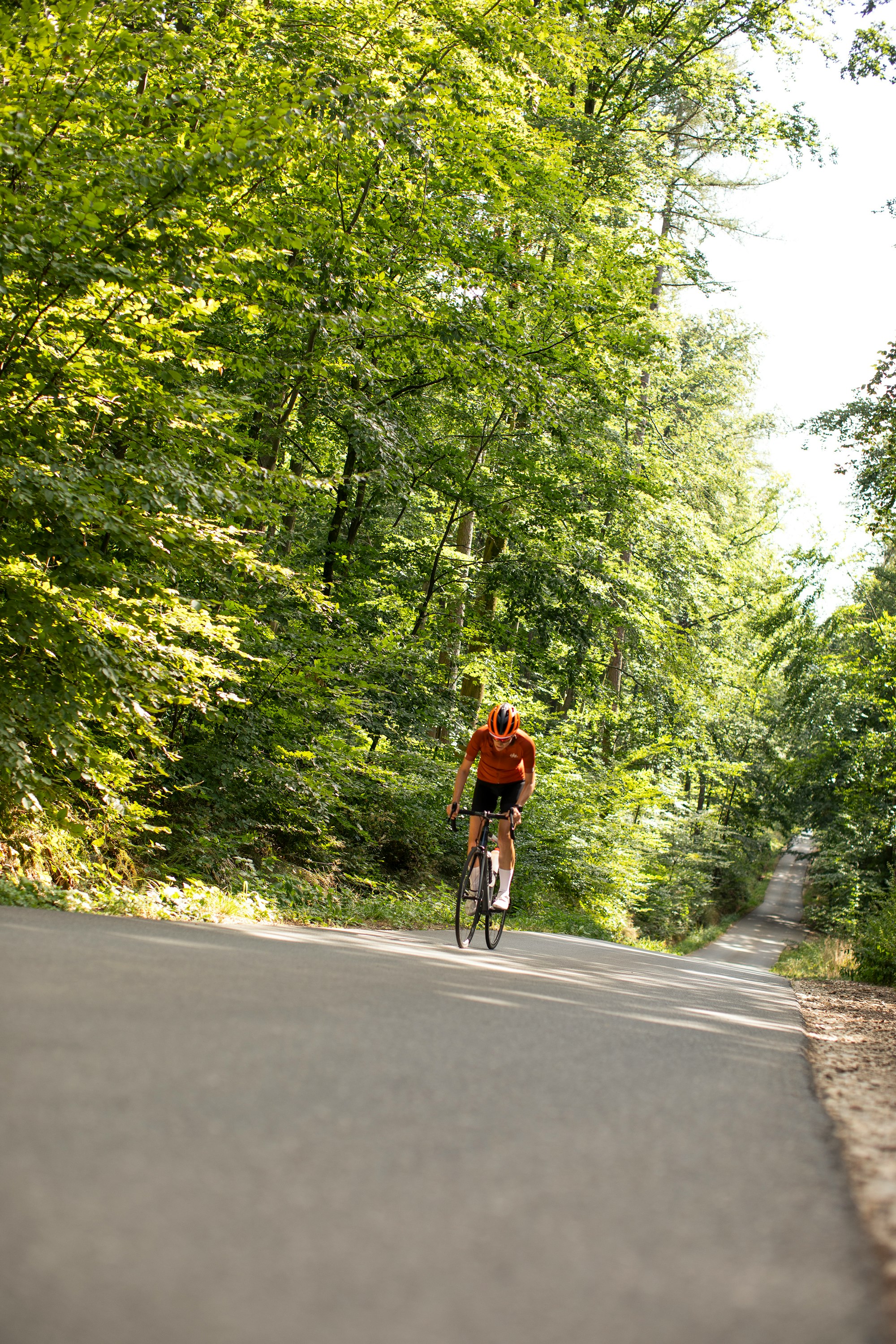 Sportive woman with road bike at mountain climb segment