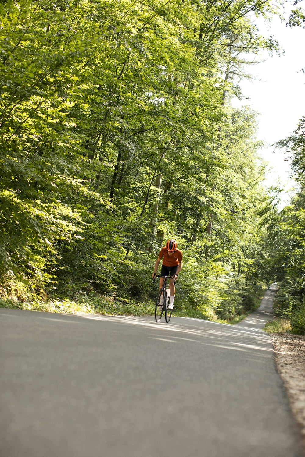 a man riding a bicycle on a road surrounded by trees