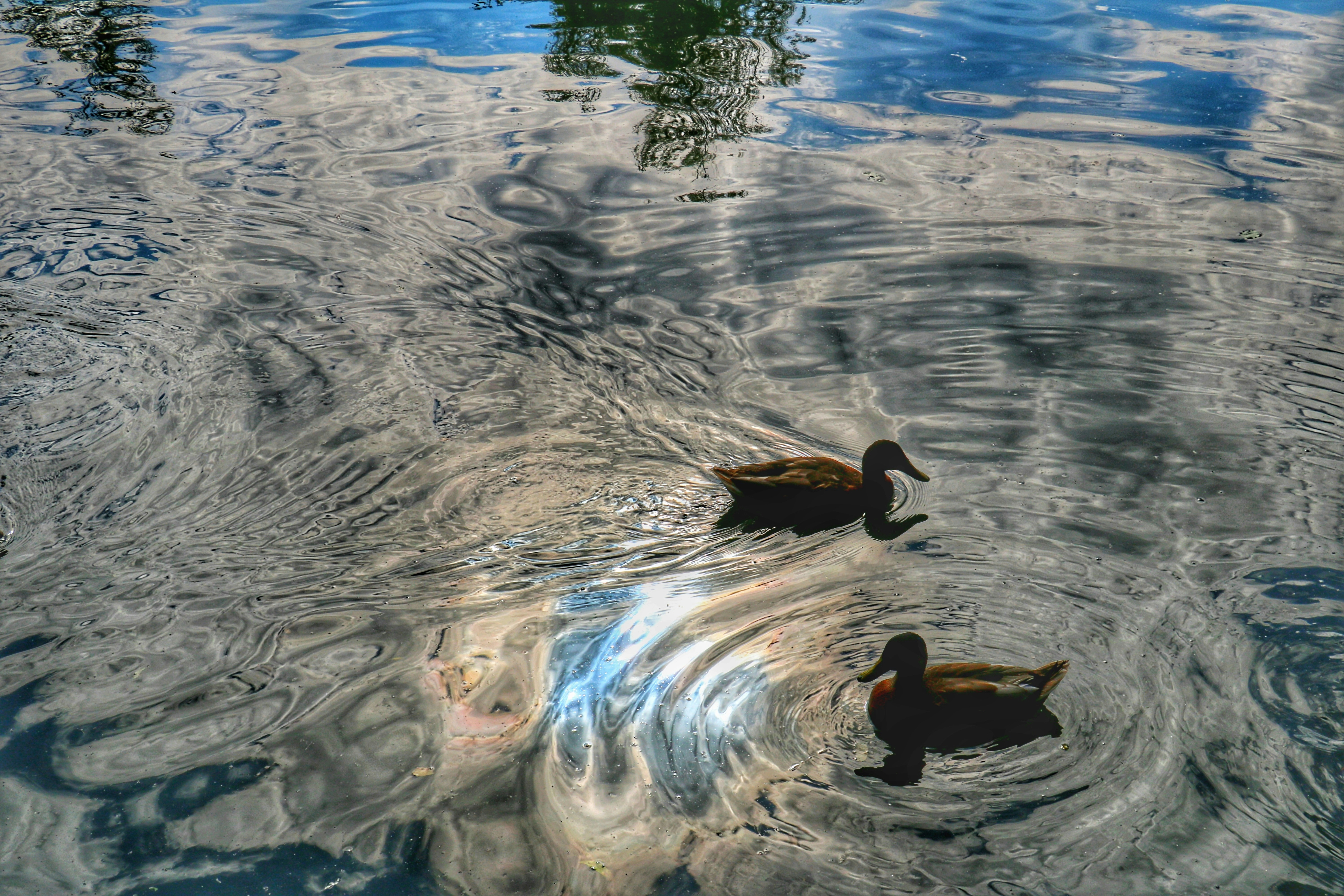 gray computer monitor