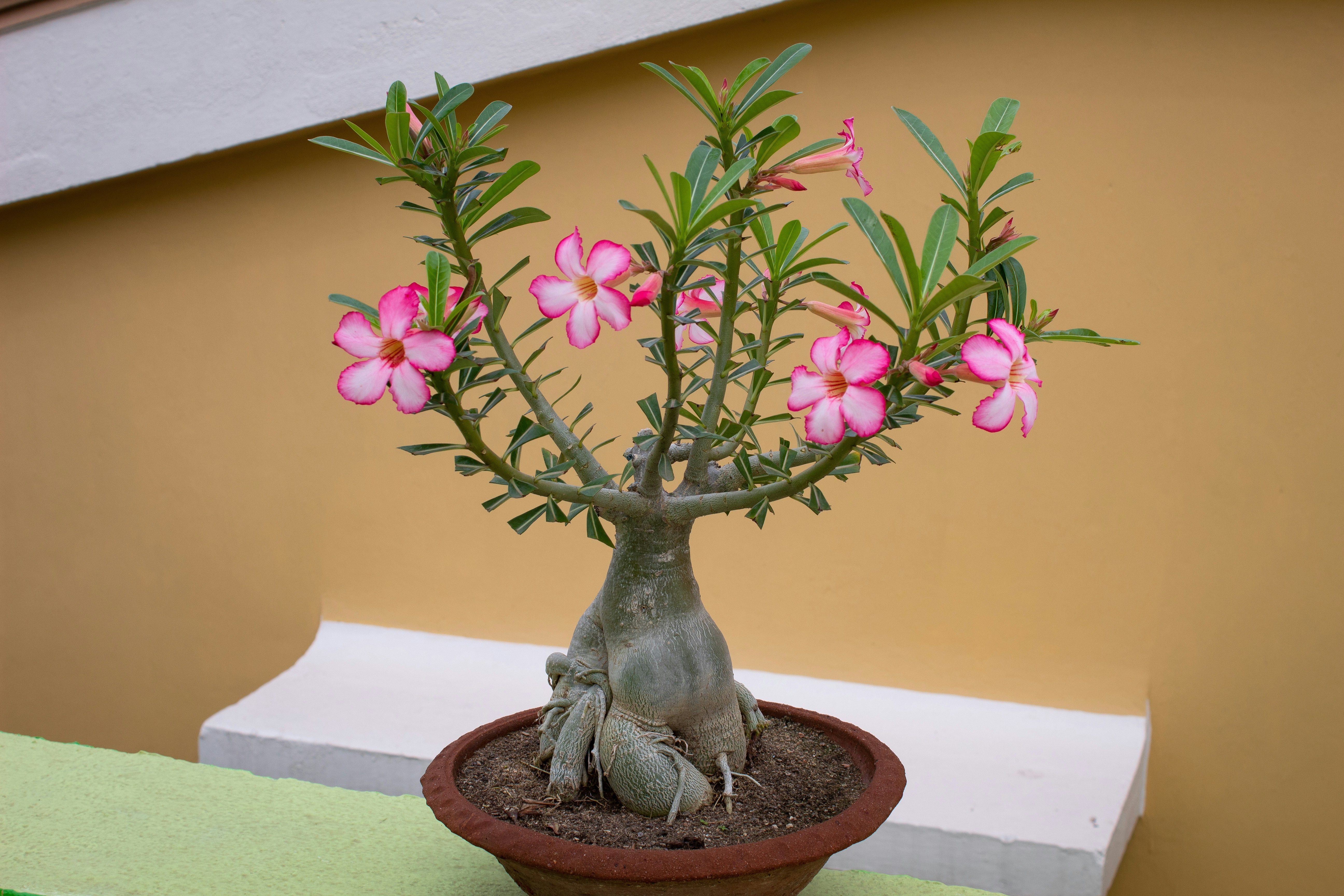 Photo by supratikdeshmukh