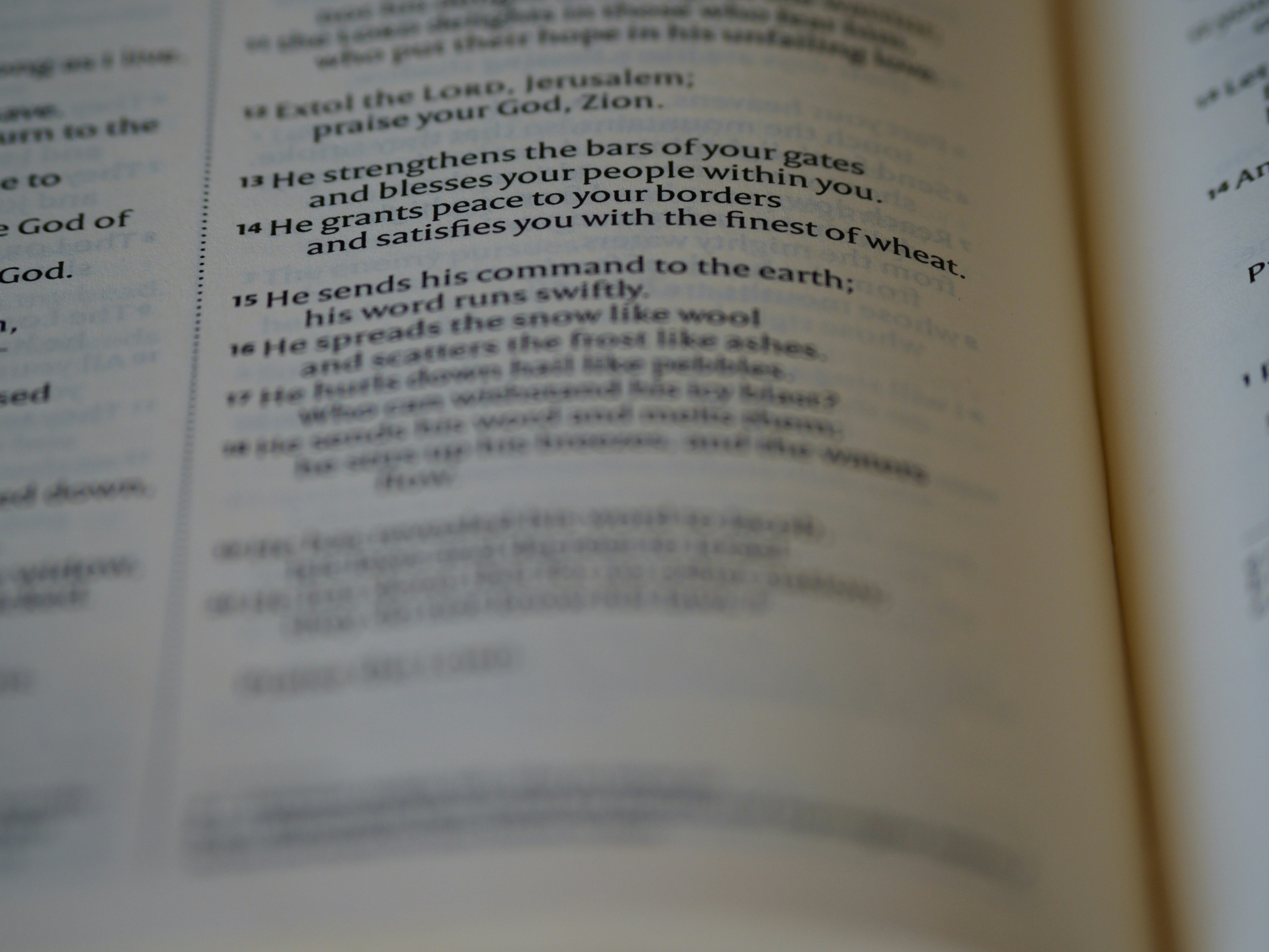 Photo by brett_jordan