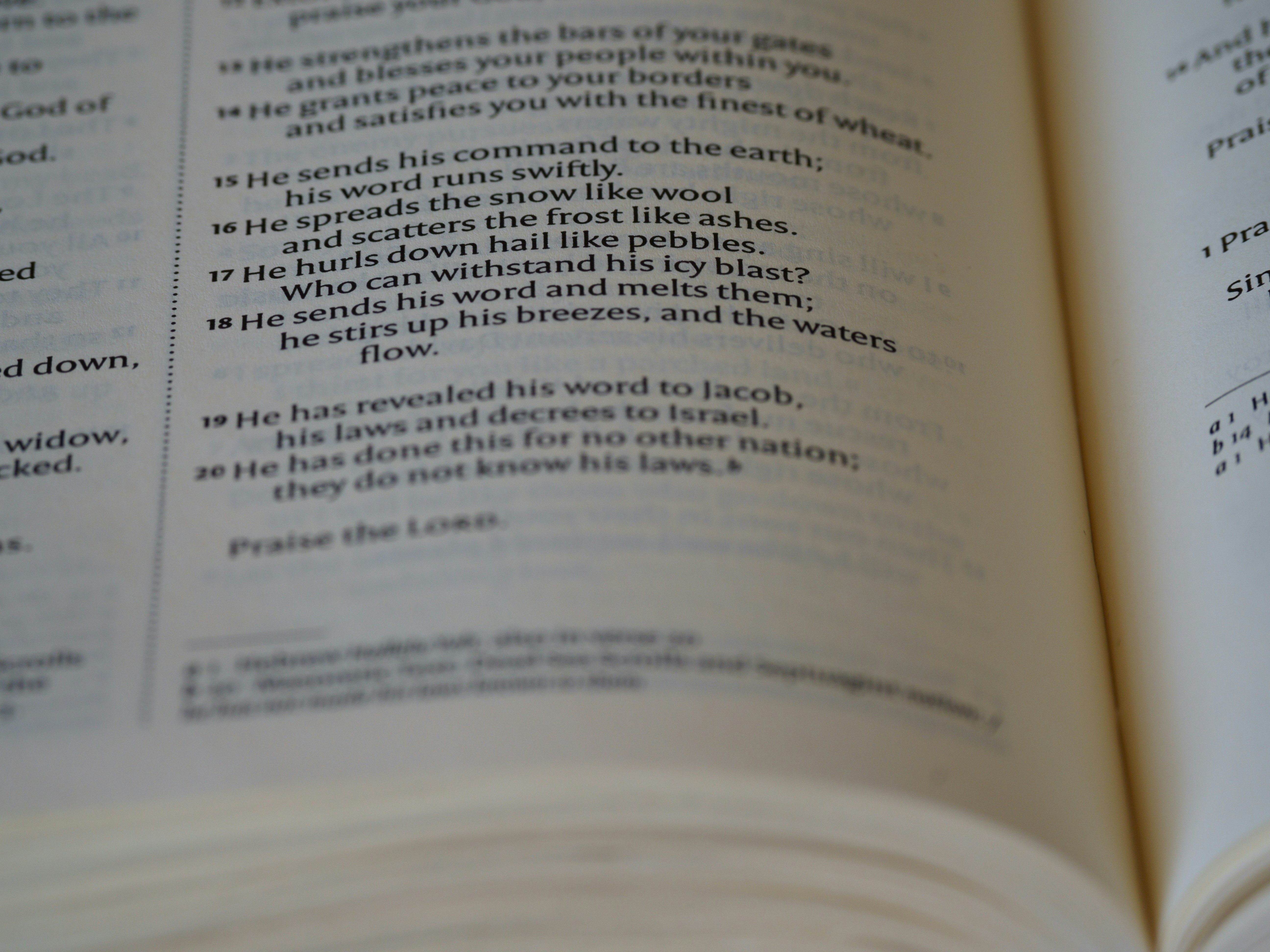 Photo by brett_jordan