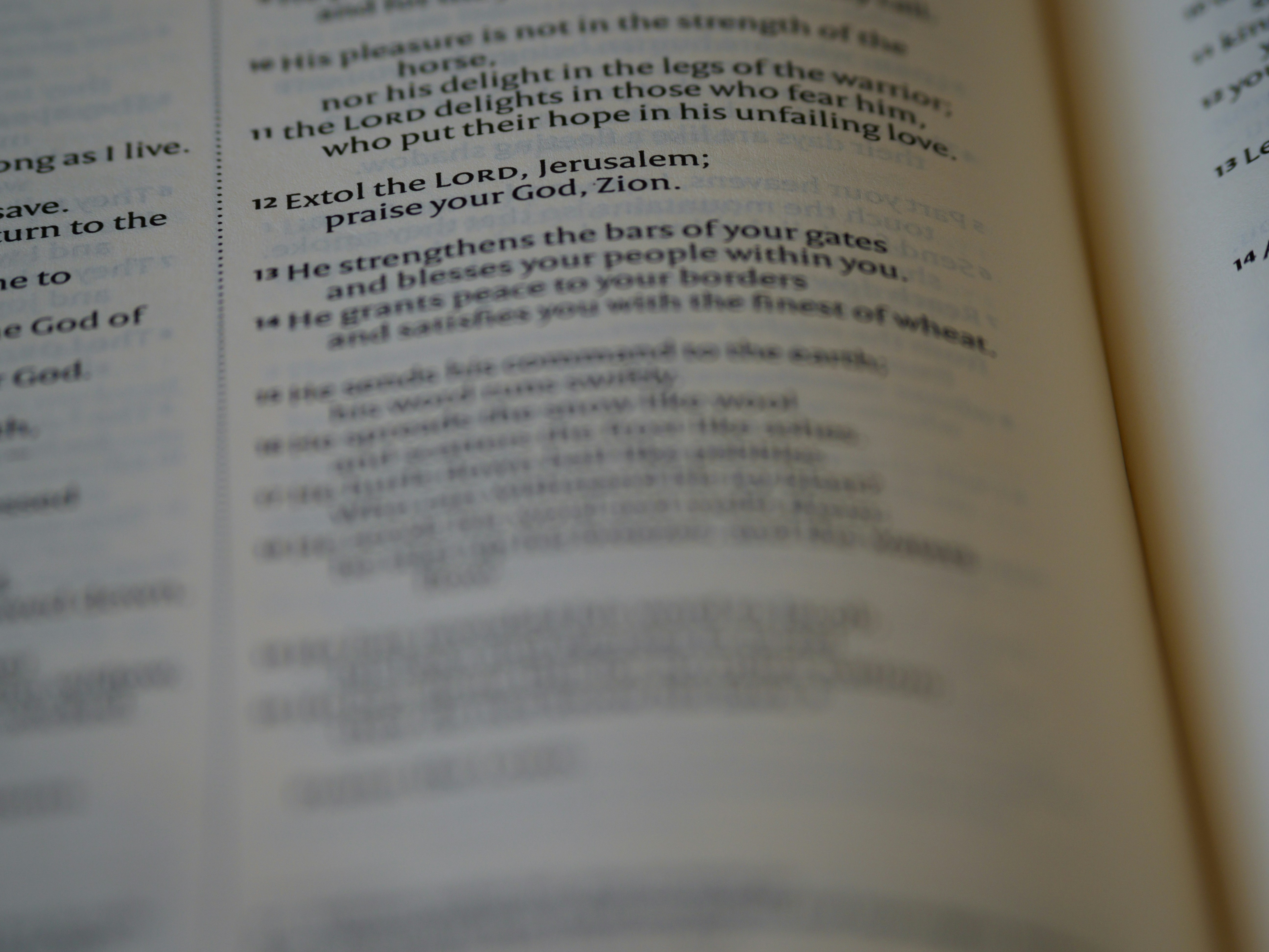 Photo by brett_jordan