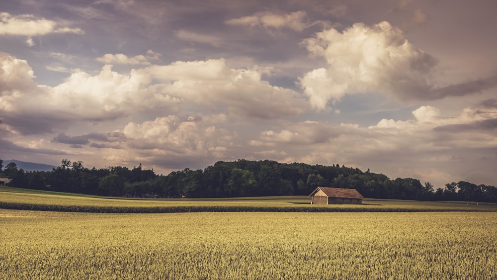 Un campo con una casa en él