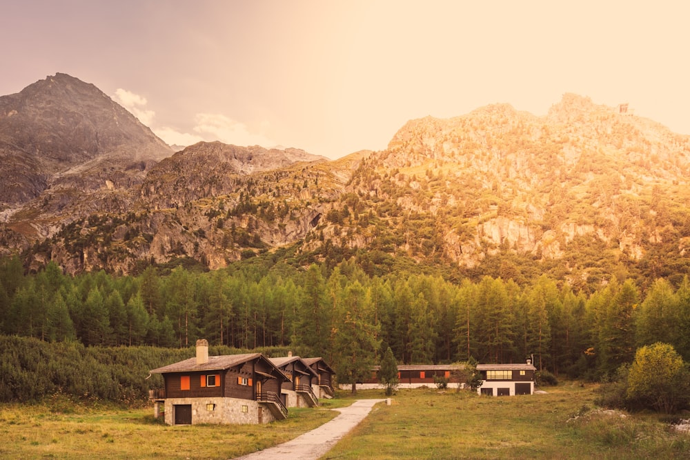 a small house in a field with trees and mountains in the background