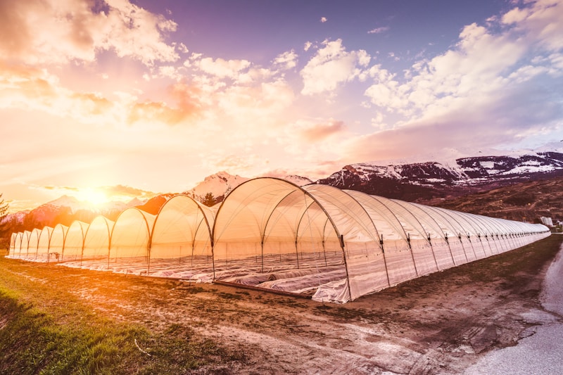 Sustainable Farming