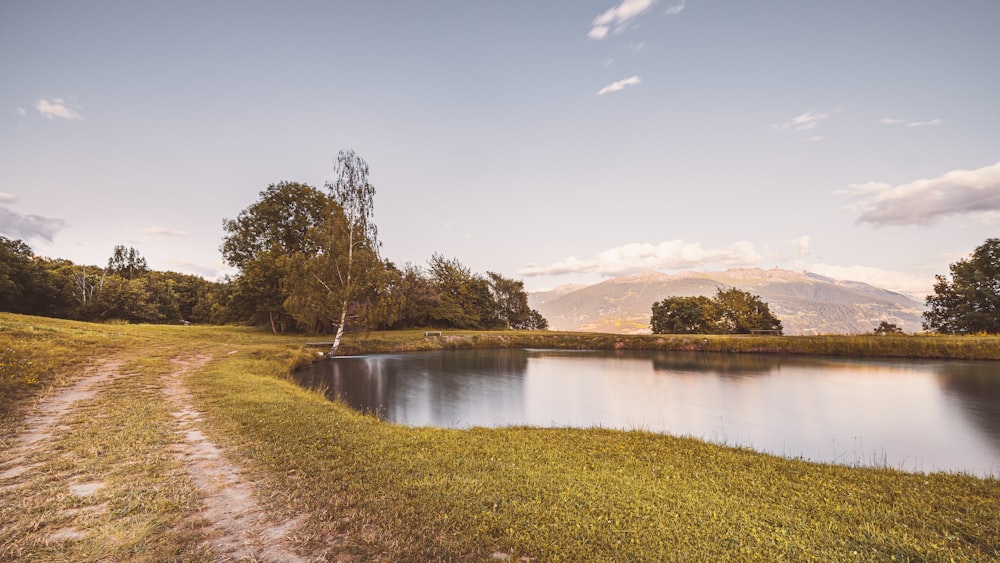 a river with grass and trees