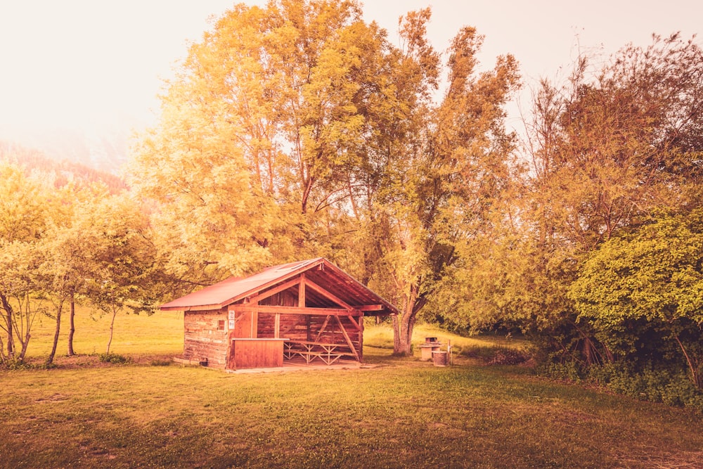 a small wooden house in a field