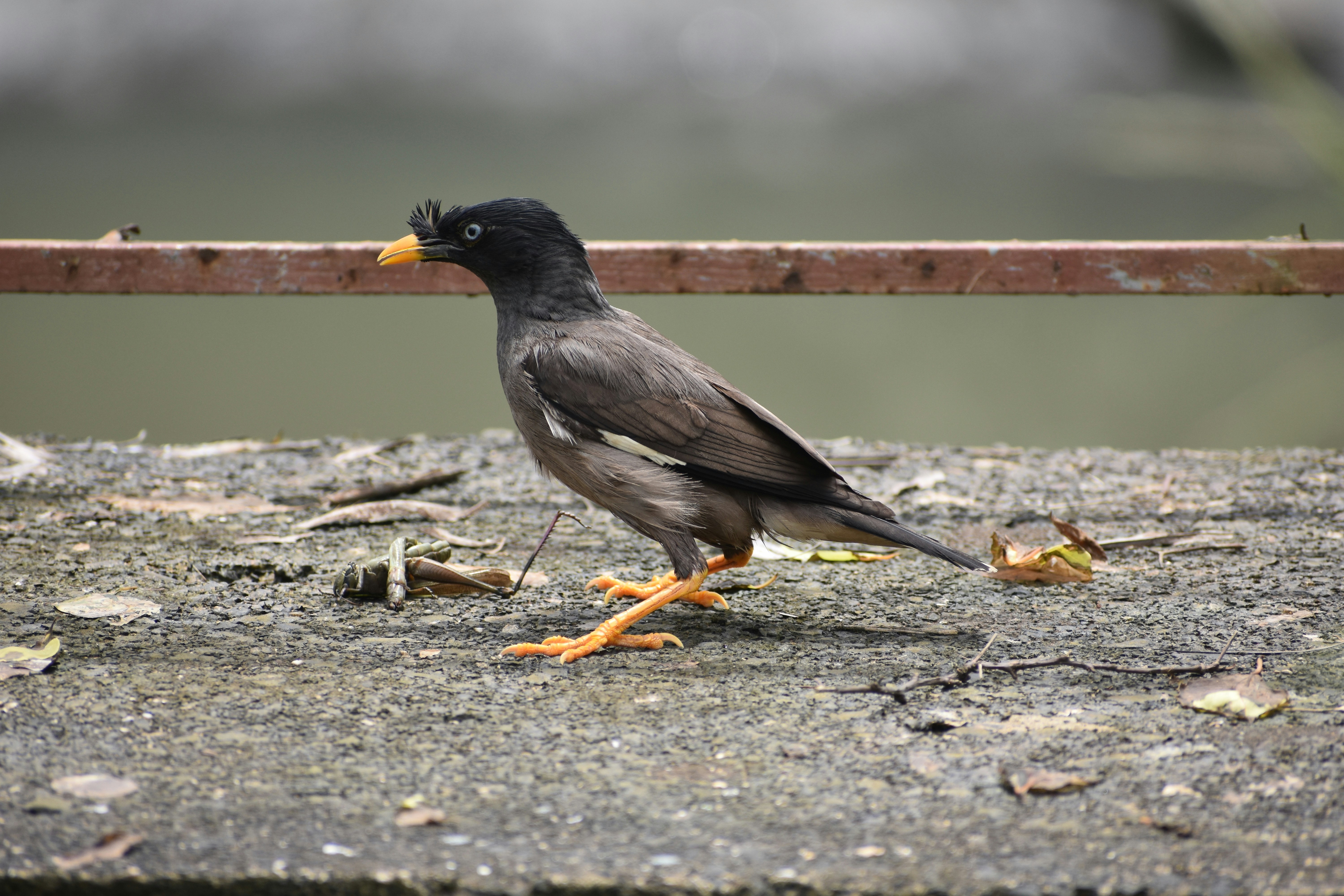 Dampak Perubahan Penggunaan Lahan terhadap Respon Hidrologis di DAS Asahan Image